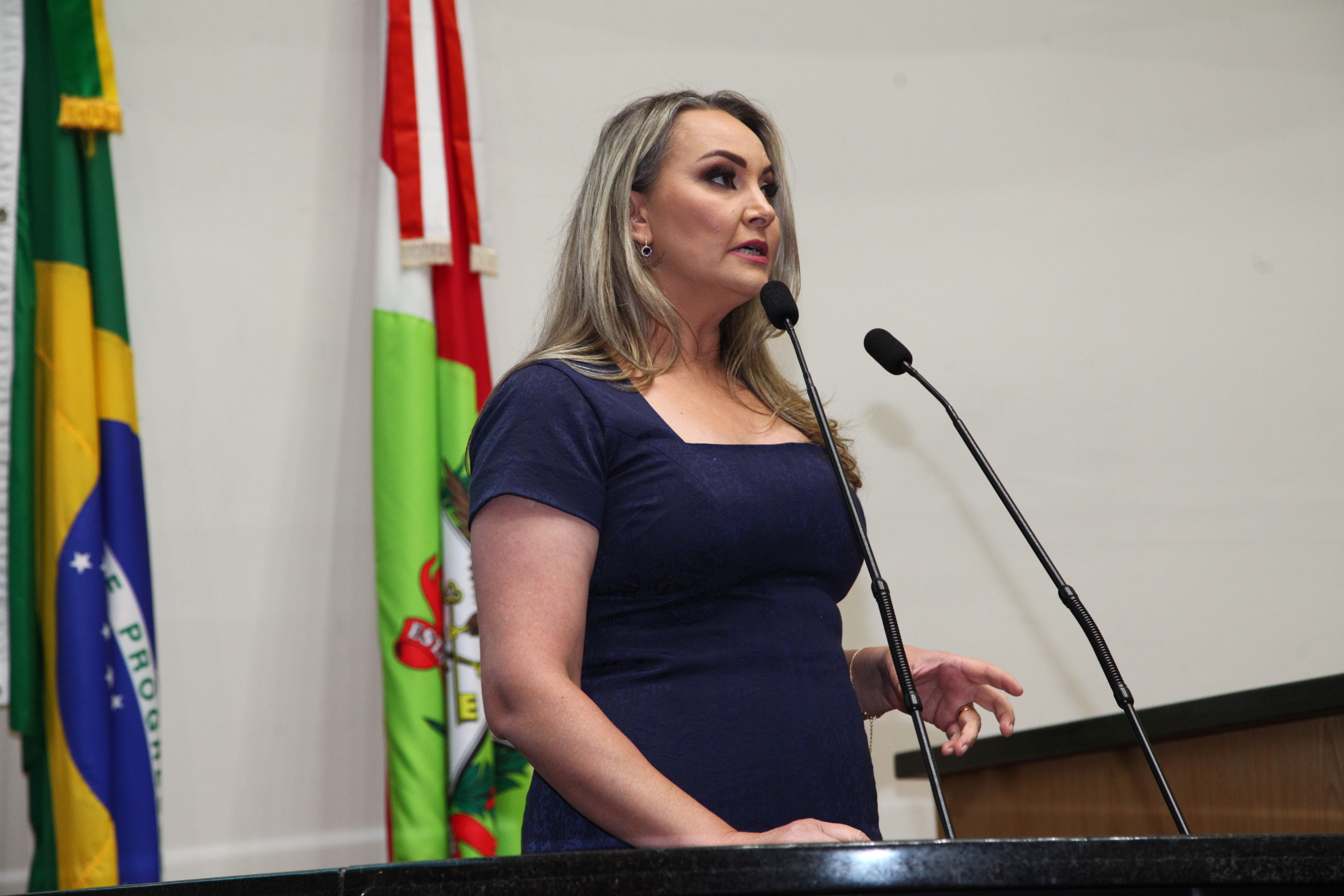 Sessão Especial em comemoração ao Dia Internacional da Mulher - Daniela Cristina Reinehr, vice-governadora