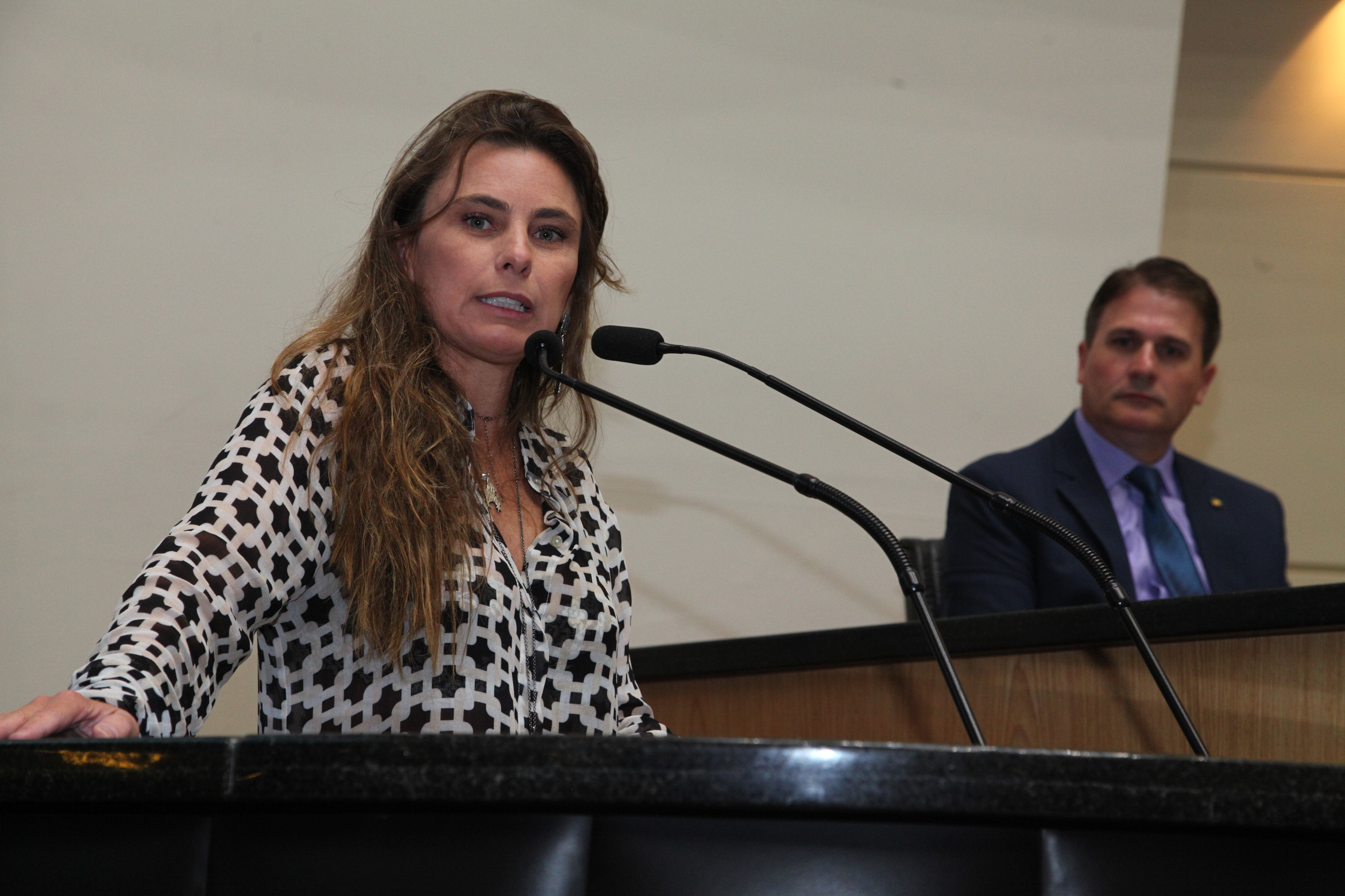 Sessão Ordinária em 21/03/2019 - Deputada Ana Paula da Silva (PDT)