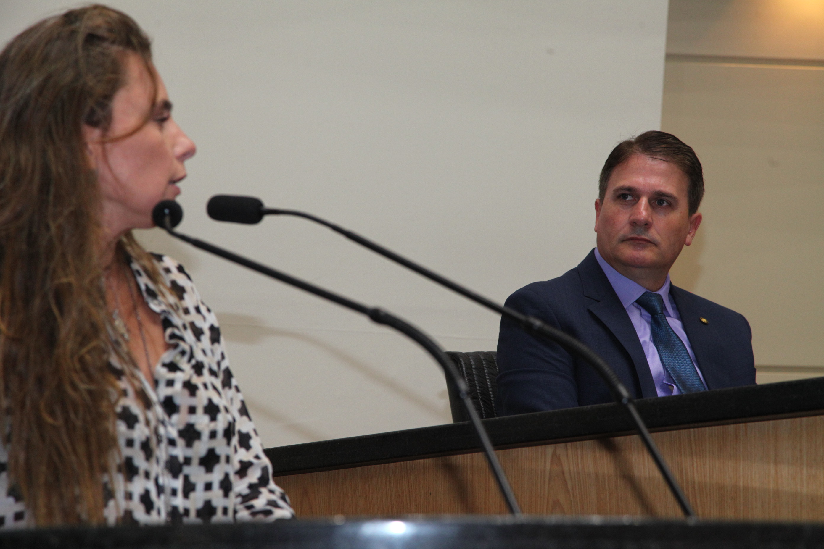 Sessão Ordinária em 21/03/2019 - Deputada Ana Paula da Silva (PDT)