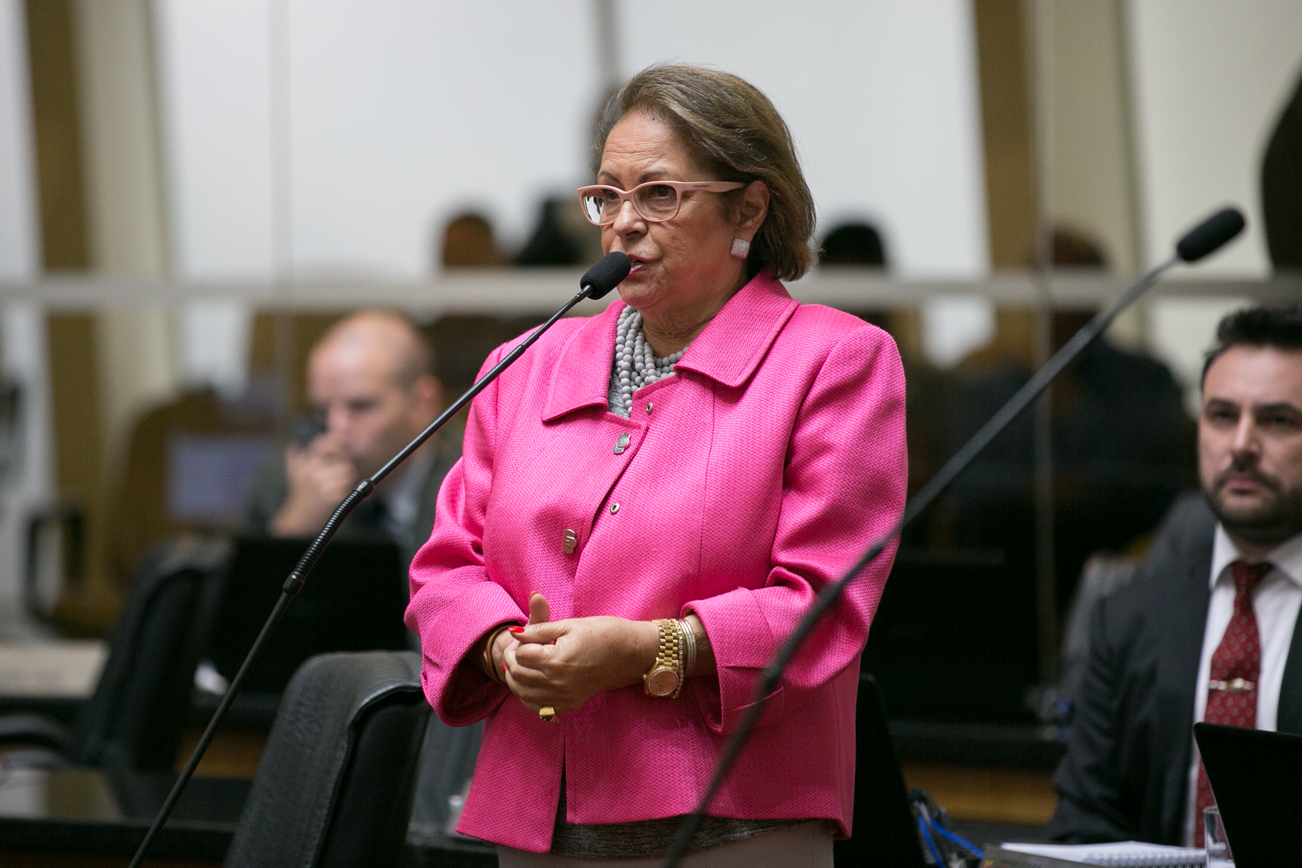 Deputada Ada De Luca (MDB)