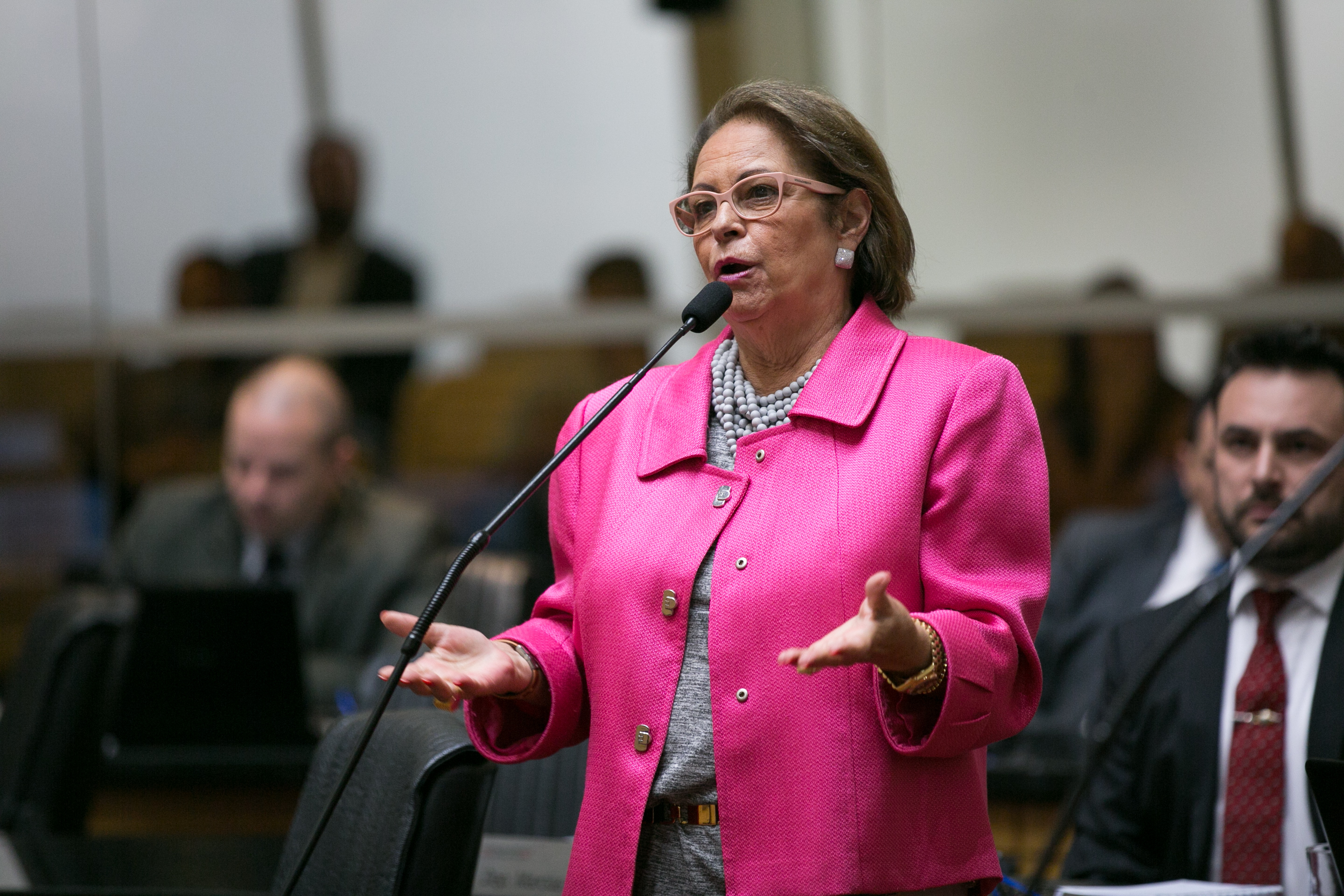 Deputada Ada De Luca (MDB)