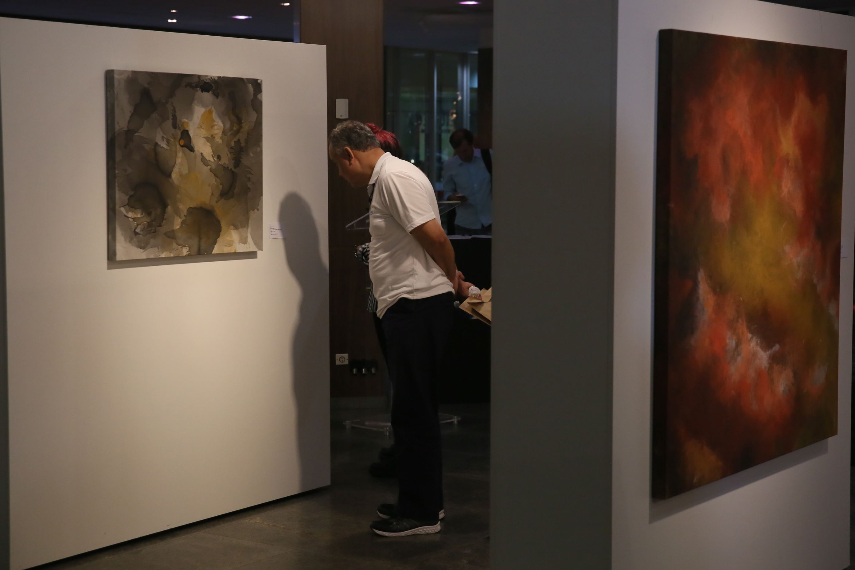 Exposição Arte Gestual  da artista plástica Iara Dreger é lançada na Alesc