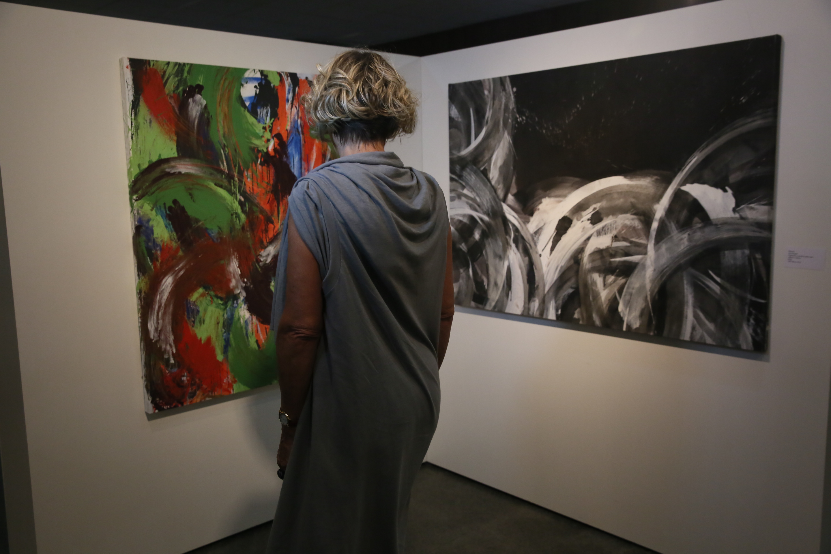 Exposição Arte Gestual  da artista plástica Iara Dreger é lançada na Alesc