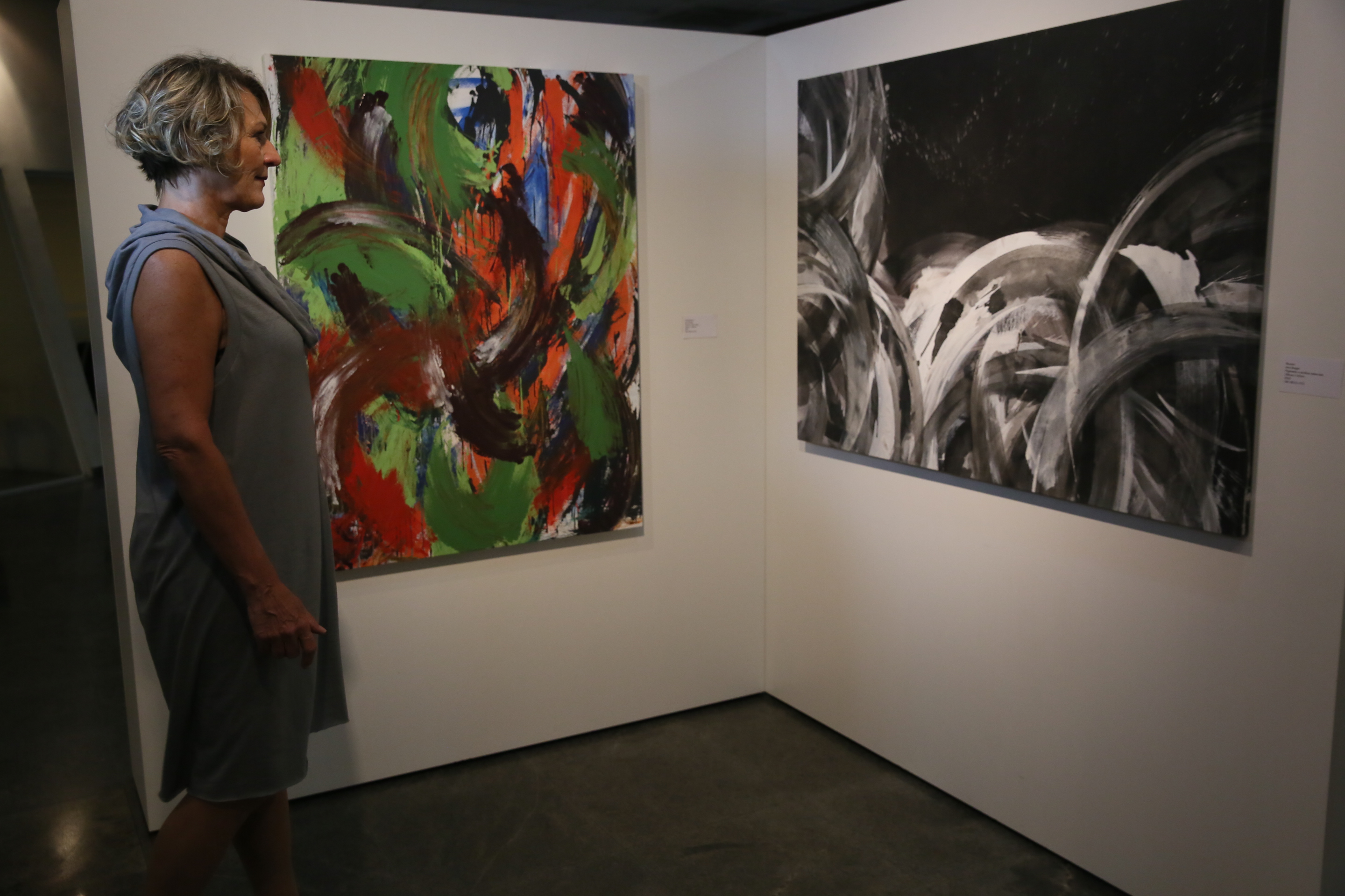 Exposição Arte Gestual  da artista plástica Iara Dreger é lançada na Alesc