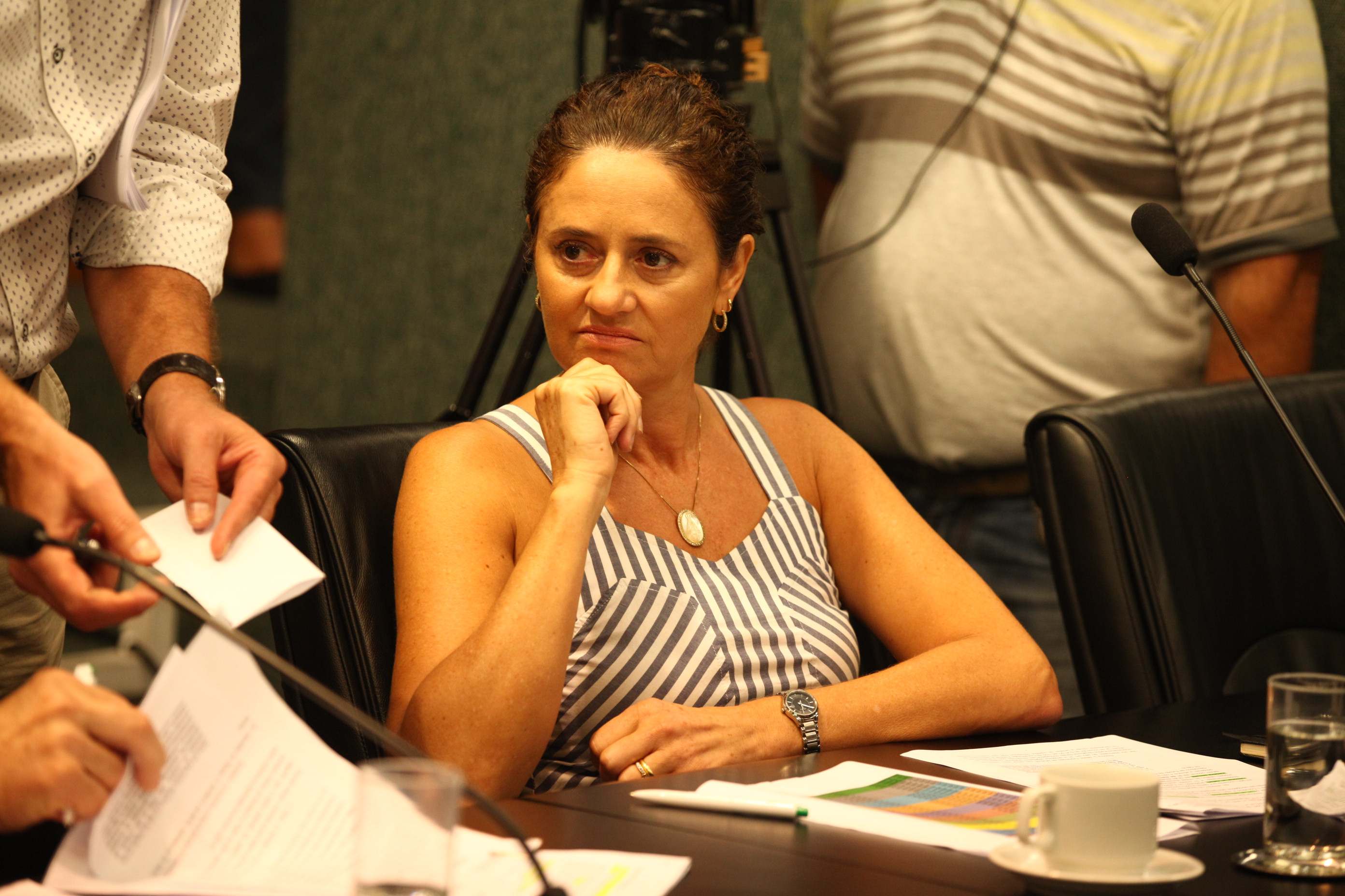 Comissão de Constituição e Justiça - Deputada Marlene Fengler (PSD)