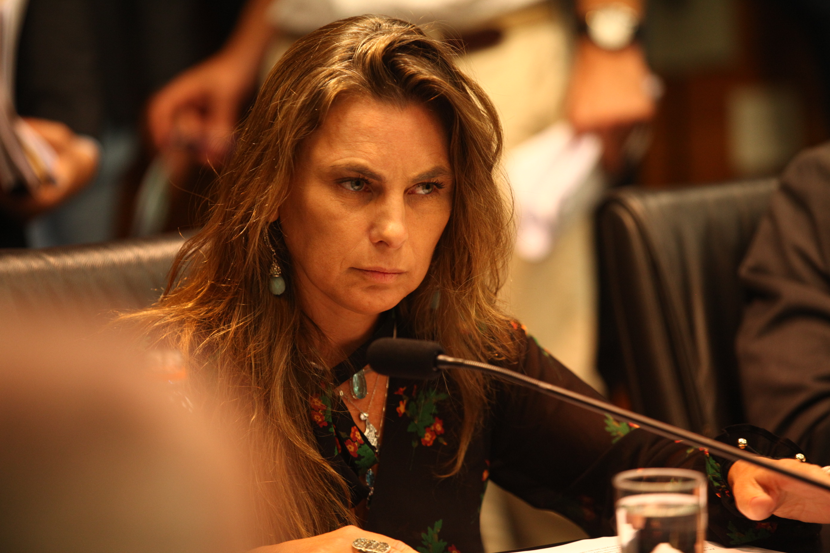 Comissão de Constituição e Justiça - Deputada Ana Paula da Silva (PDT)