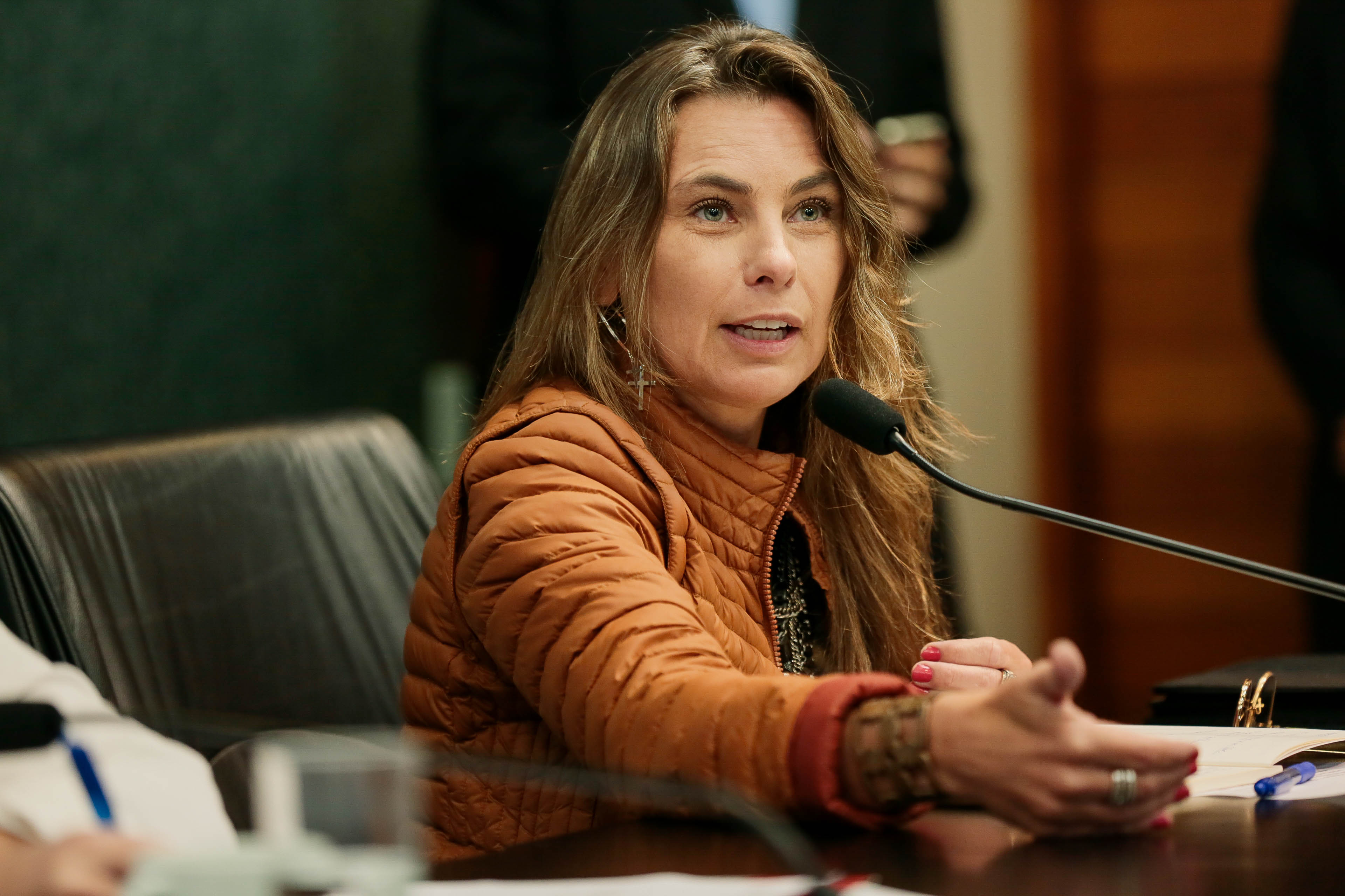 Deputada Paulinha (PDT)
