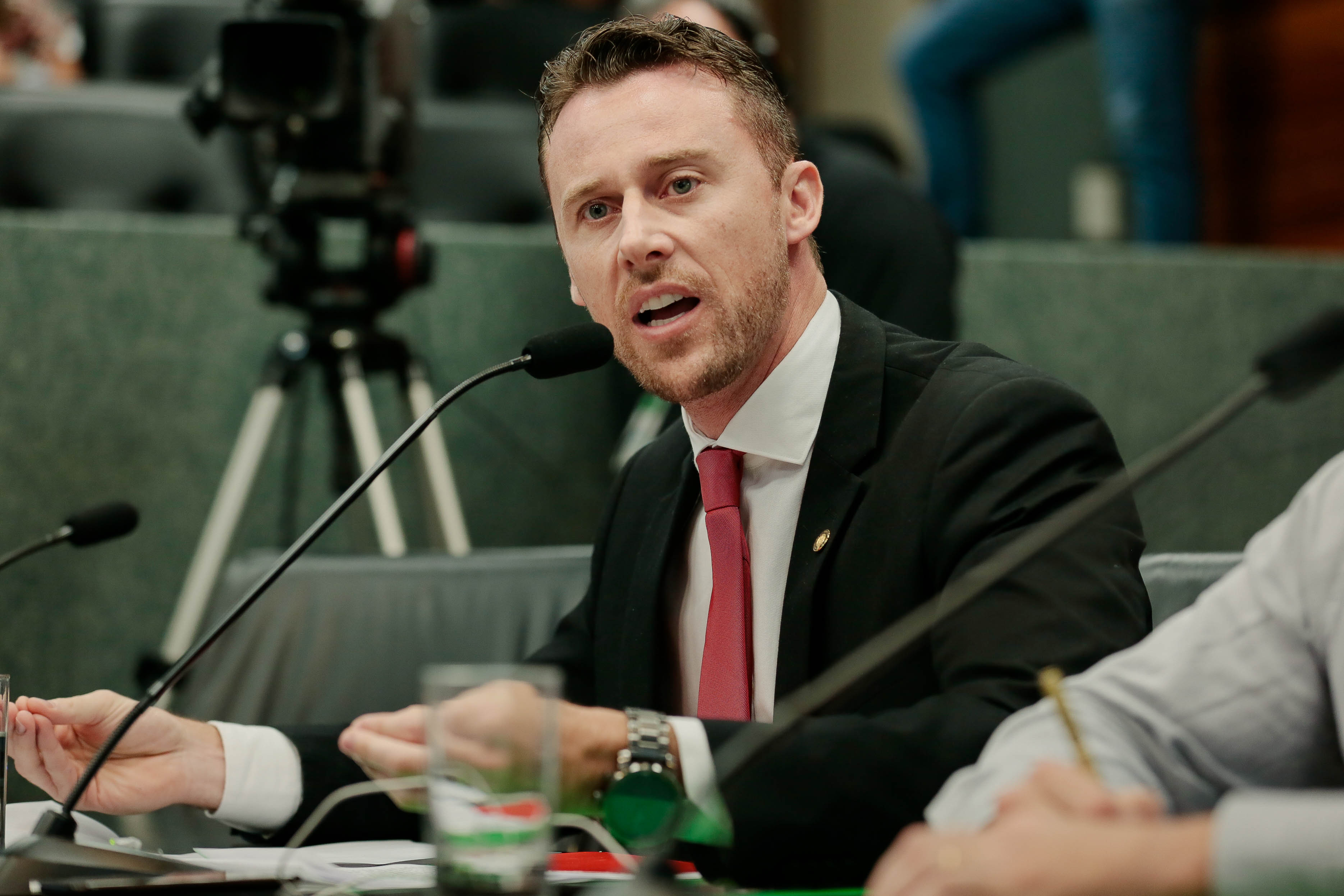 Deputado Fernando Krelling (MDB)