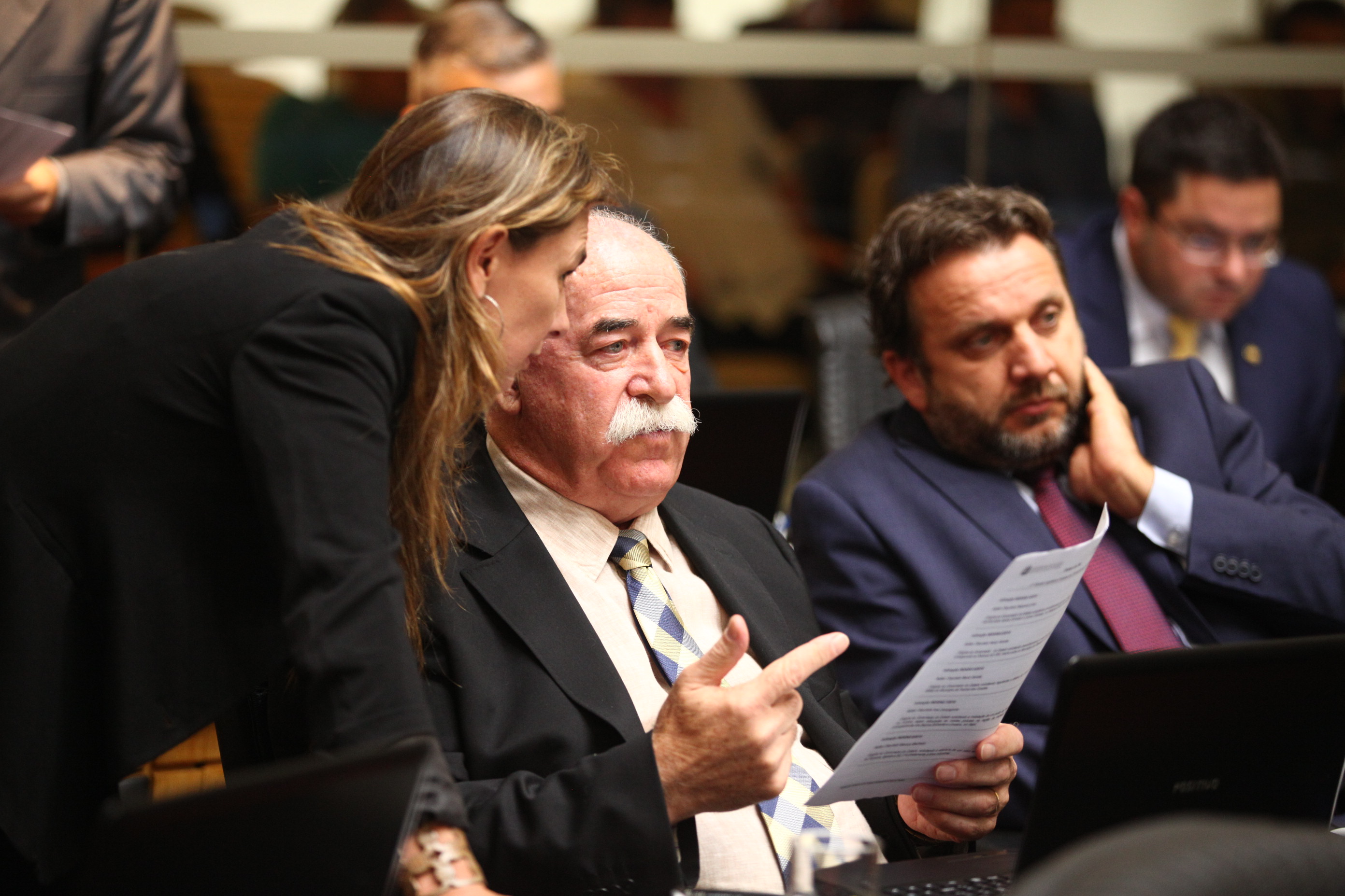 Sessão Ordinária em 29/03/2019