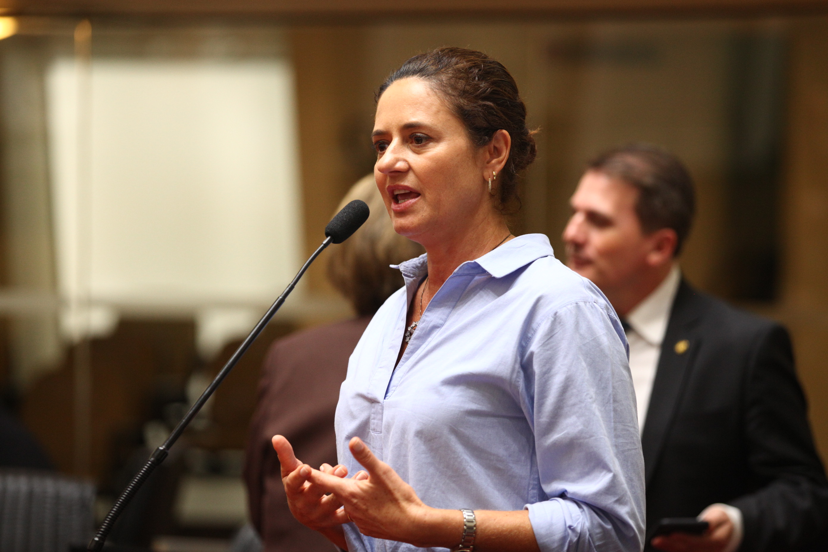 Sessão Ordinária em 29/03/2019 - Deputada Marlene Fengler (PSD)