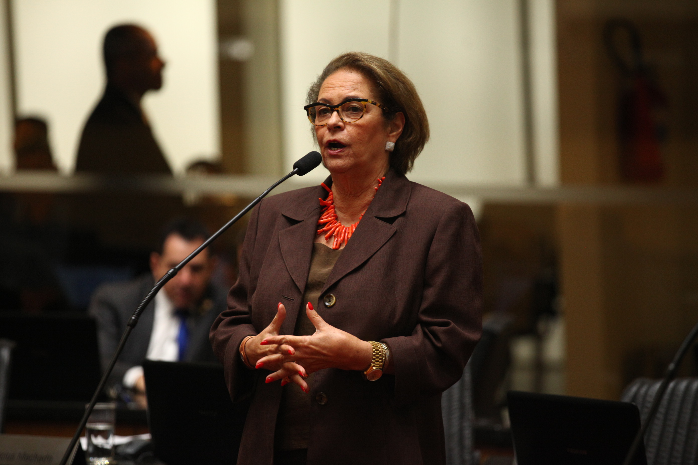 Sessão Ordinária em 29/03/2019