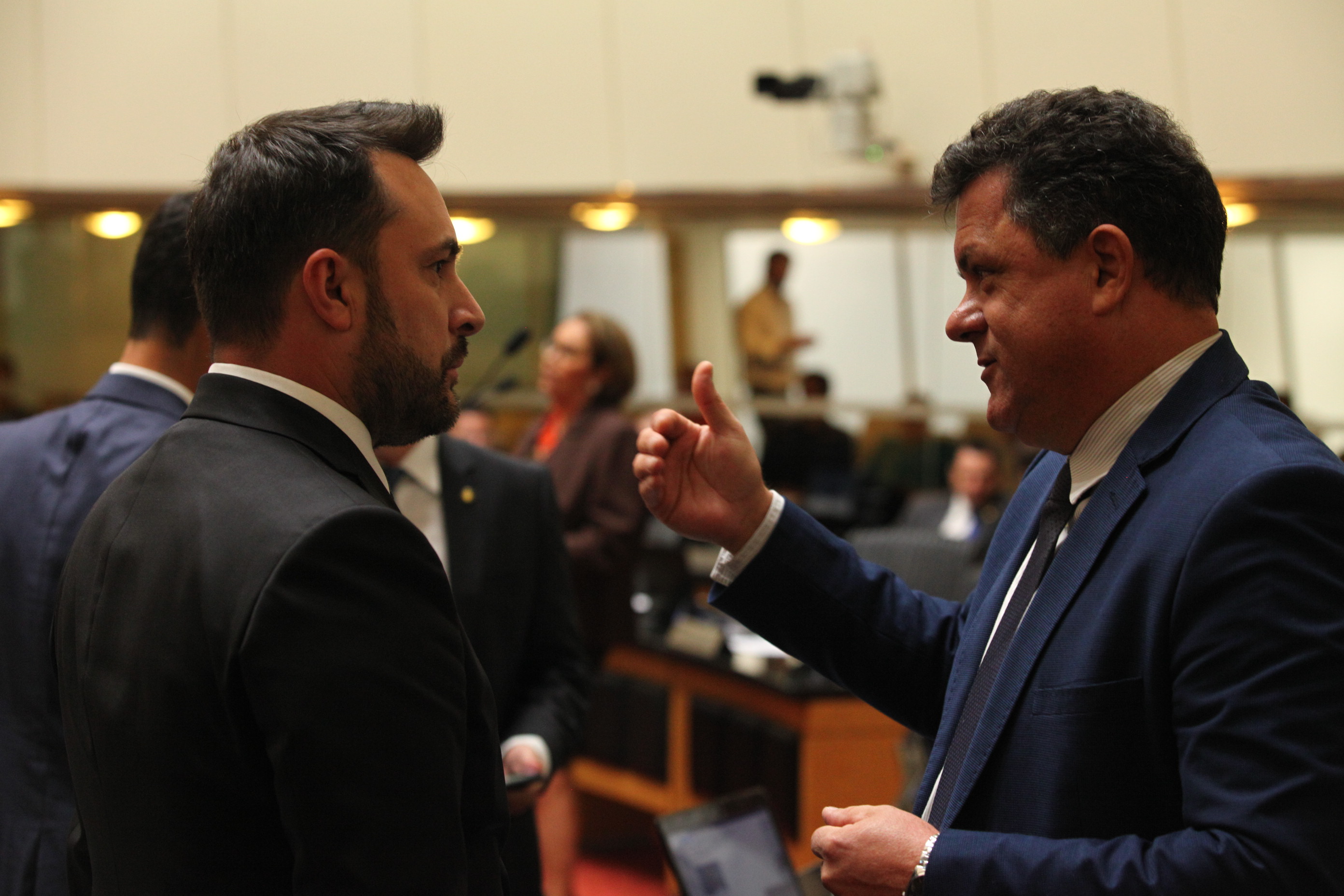 Sessão Ordinária em 29/03/2019