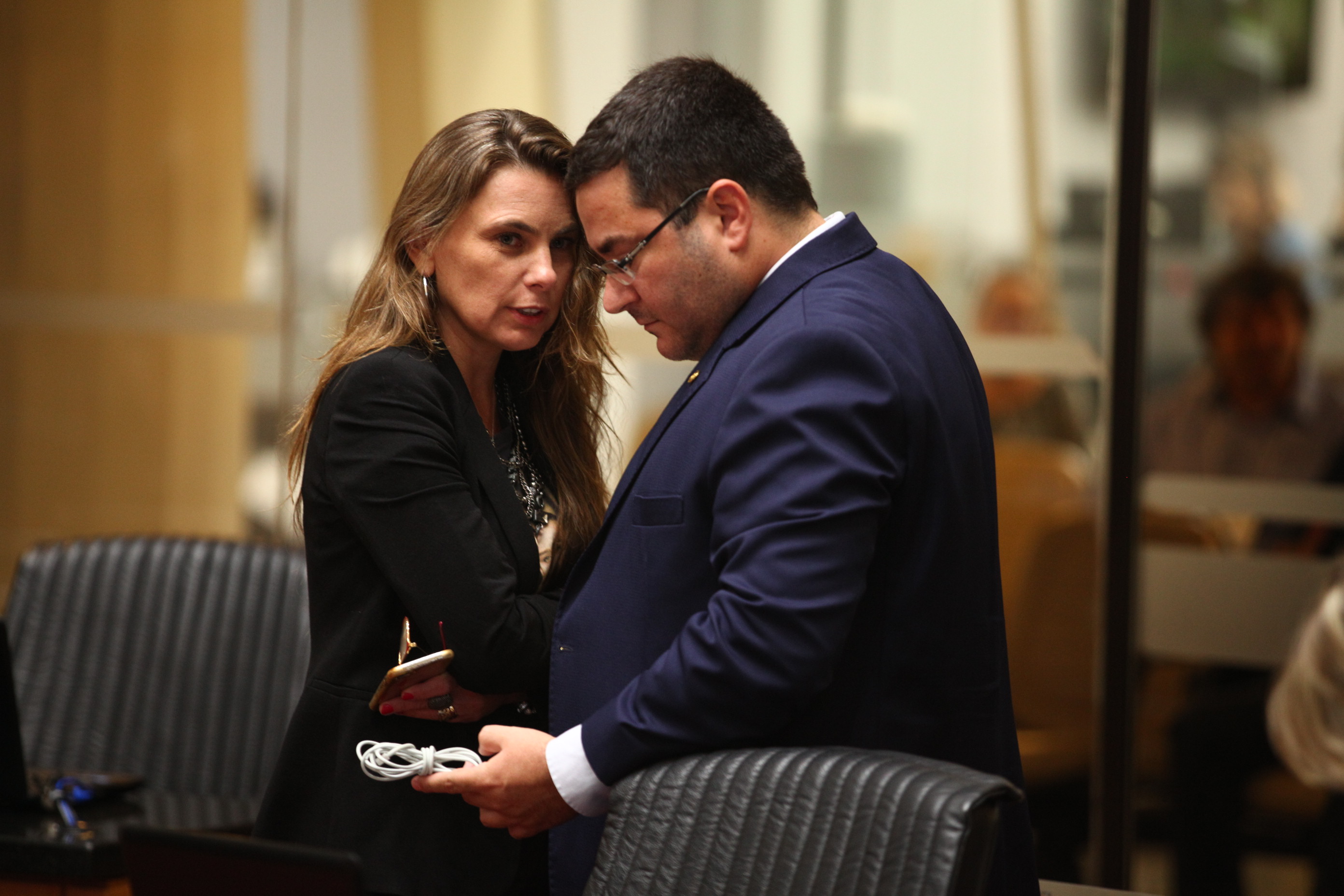 Sessão Ordinária em 29/03/2019