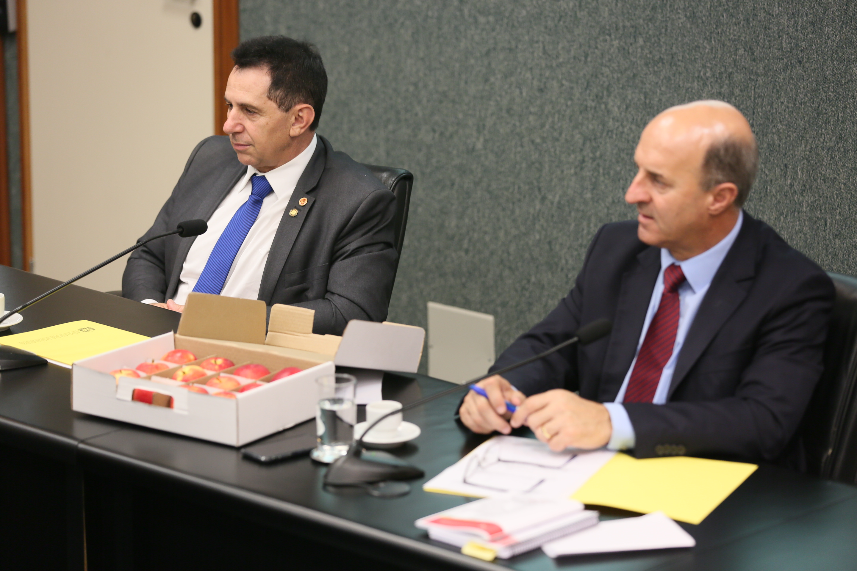 Comissão recebe o secretário de estado da Agricultura e da Pesca Ricardo de Gouvêa e a Presidente da Epagri Edilene Steinwandter para Informações das respectivas pastas.