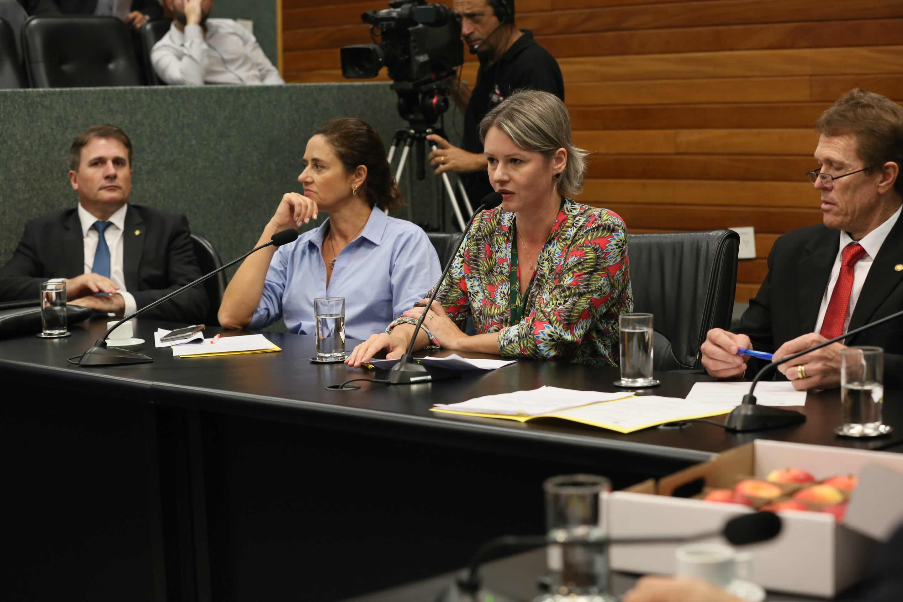 Comissão recebe o secretário de estado da Agricultura e da Pesca Ricardo de Gouvêa e a Presidente da Epagri Edilene Steinwandter para Informações das respectivas pastas.