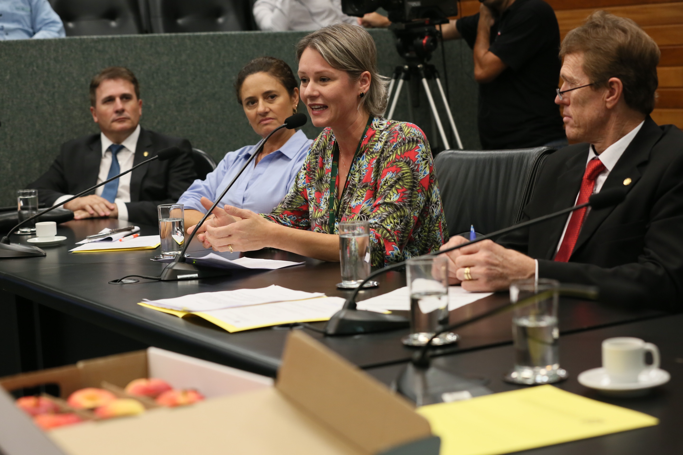 Comissão recebe o secretário de estado da Agricultura e da Pesca Ricardo de Gouvêa e a Presidente da Epagri Edilene Steinwandter para Informações das respectivas pastas.