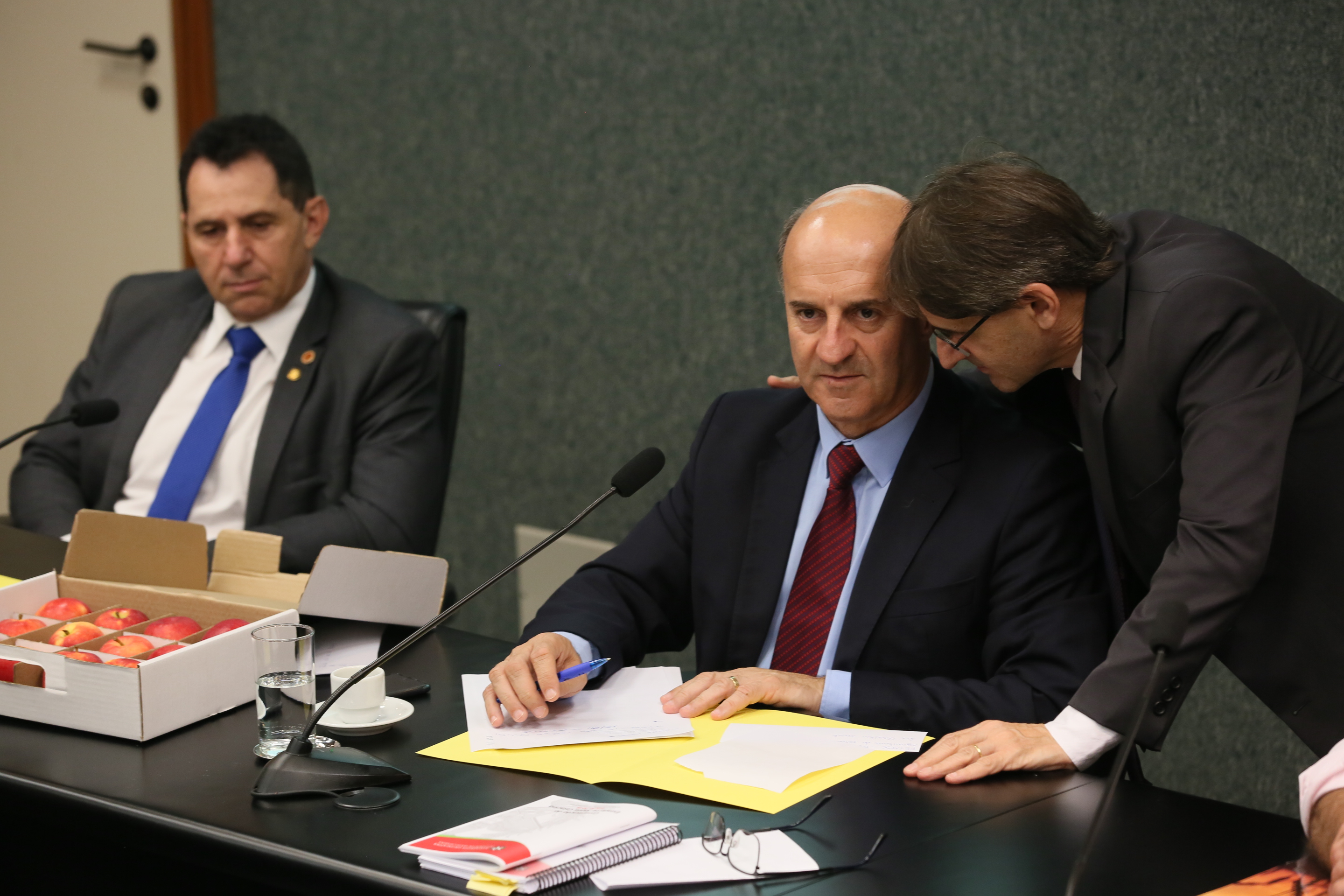 Comissão recebe o secretário de estado da Agricultura e da Pesca Ricardo de Gouvêa e a Presidente da Epagri Edilene Steinwandter para Informações das respectivas pastas.