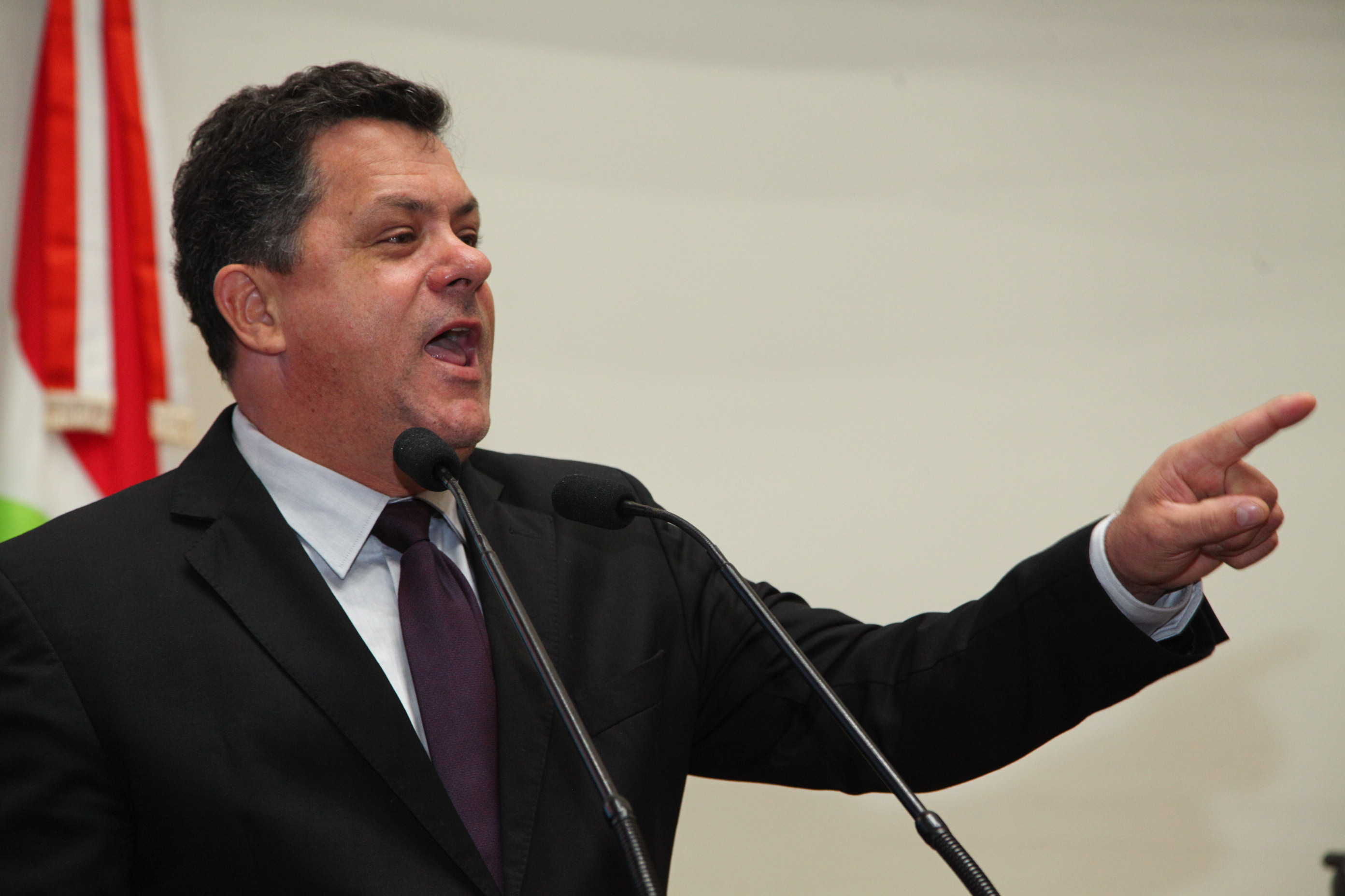 Sessão Ordinária - Deputado Ivan Natz (PV)