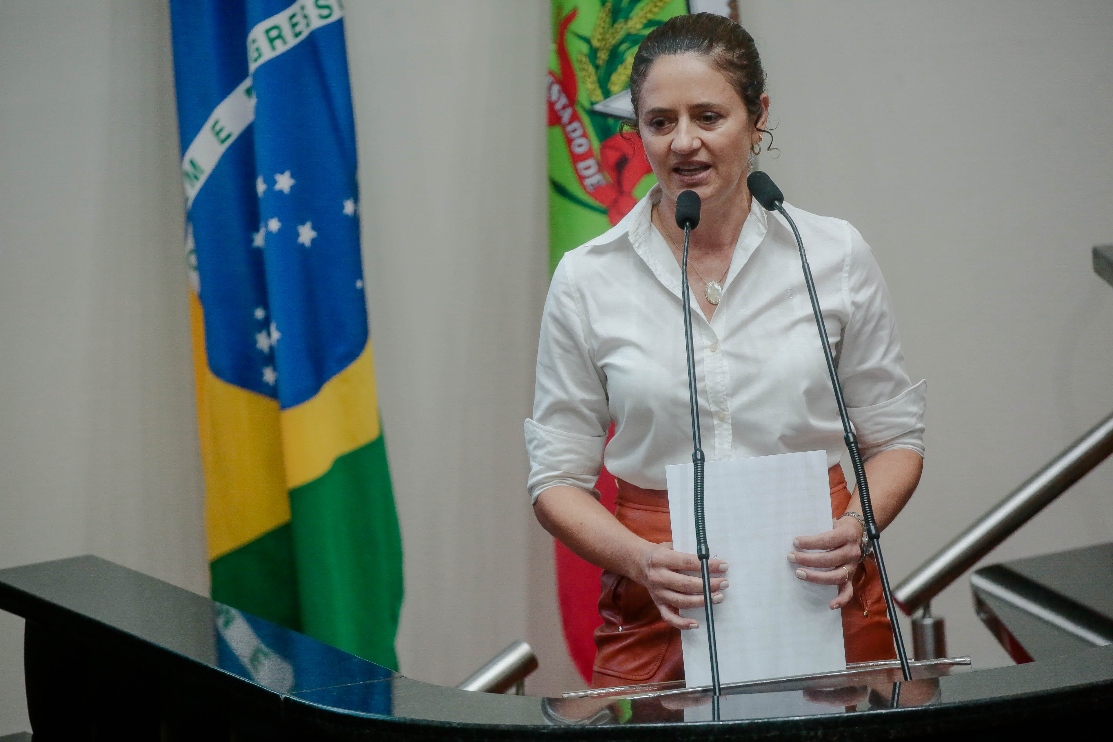 Deputada Marlene Fengler (PSD)