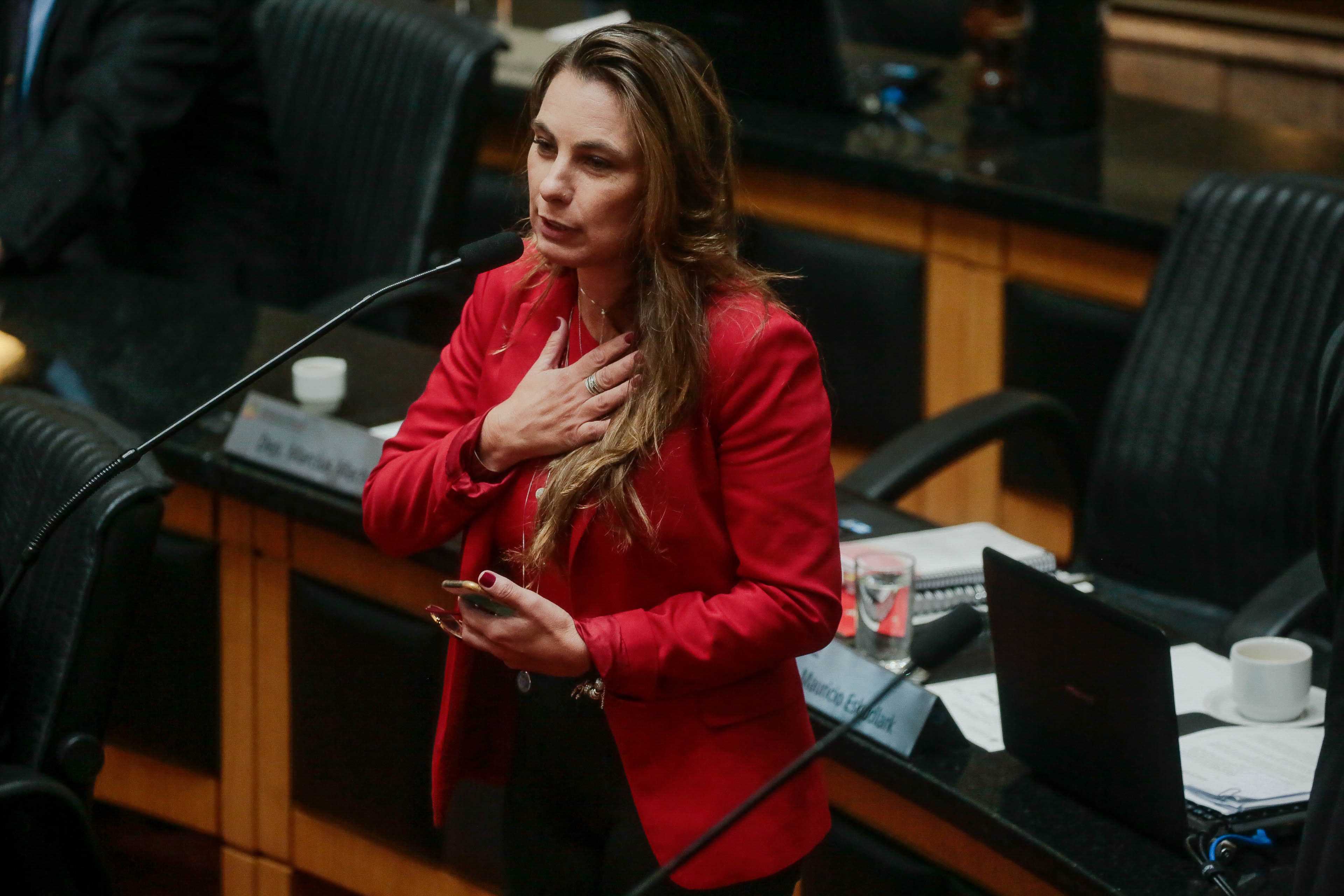 Deputada Paulinha (PDT)