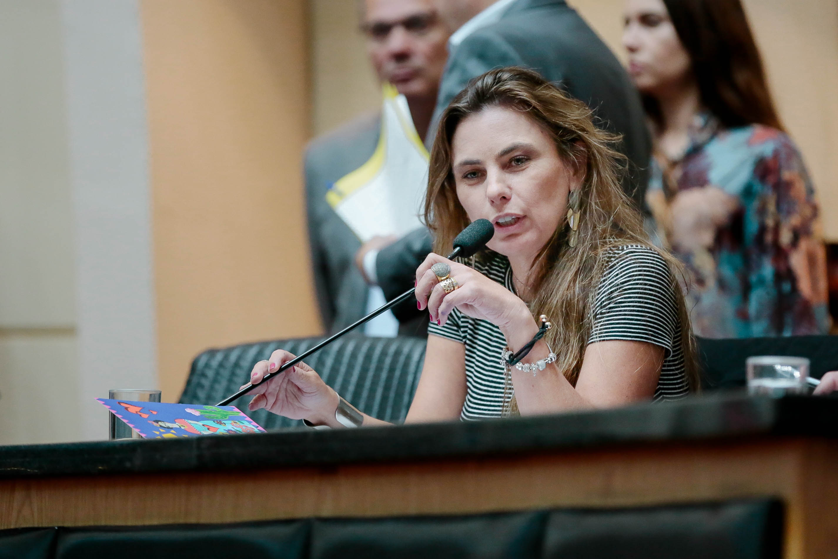 Deputada Paulinha (PDT)