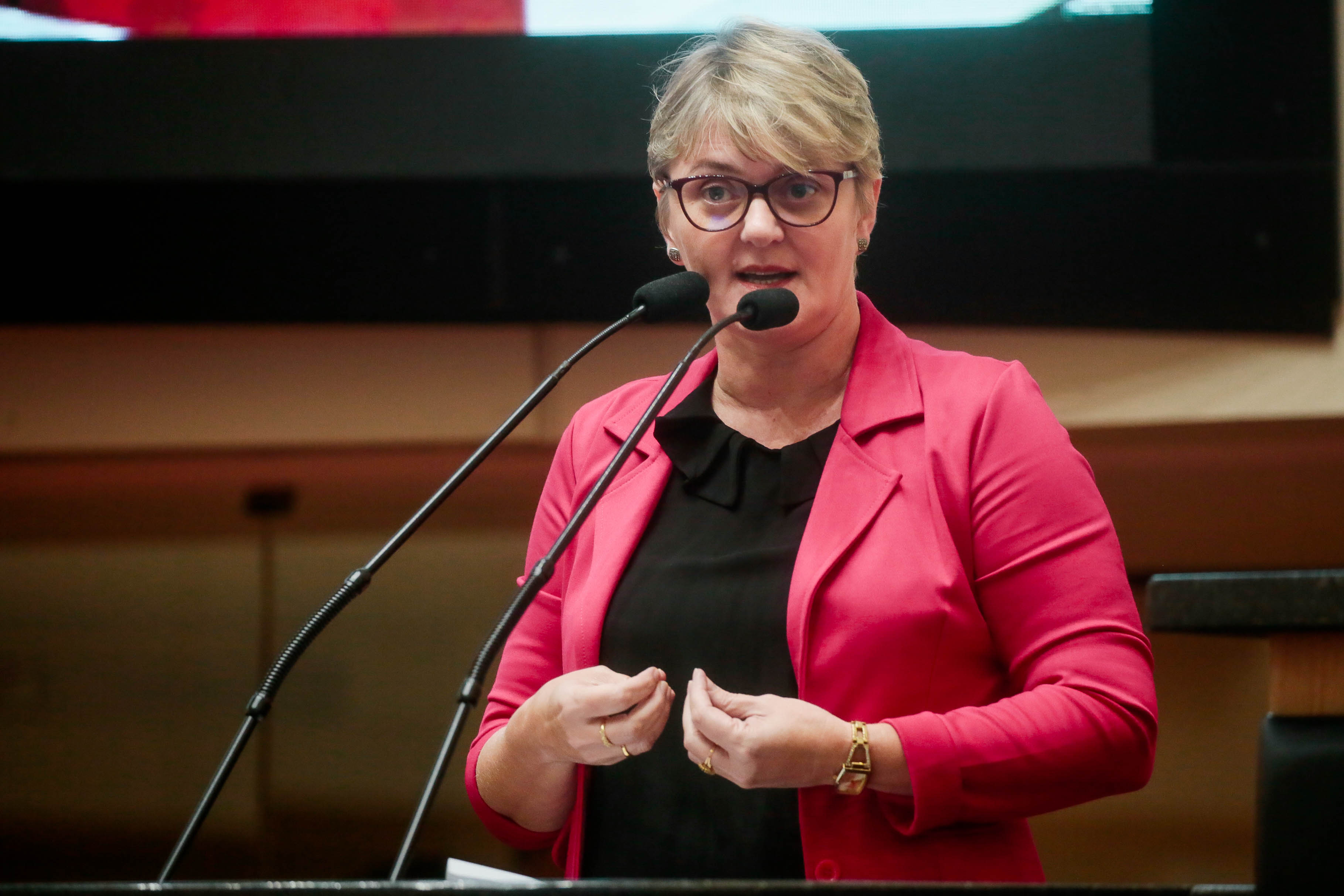 Deputada Luciane Carminatti (PT)