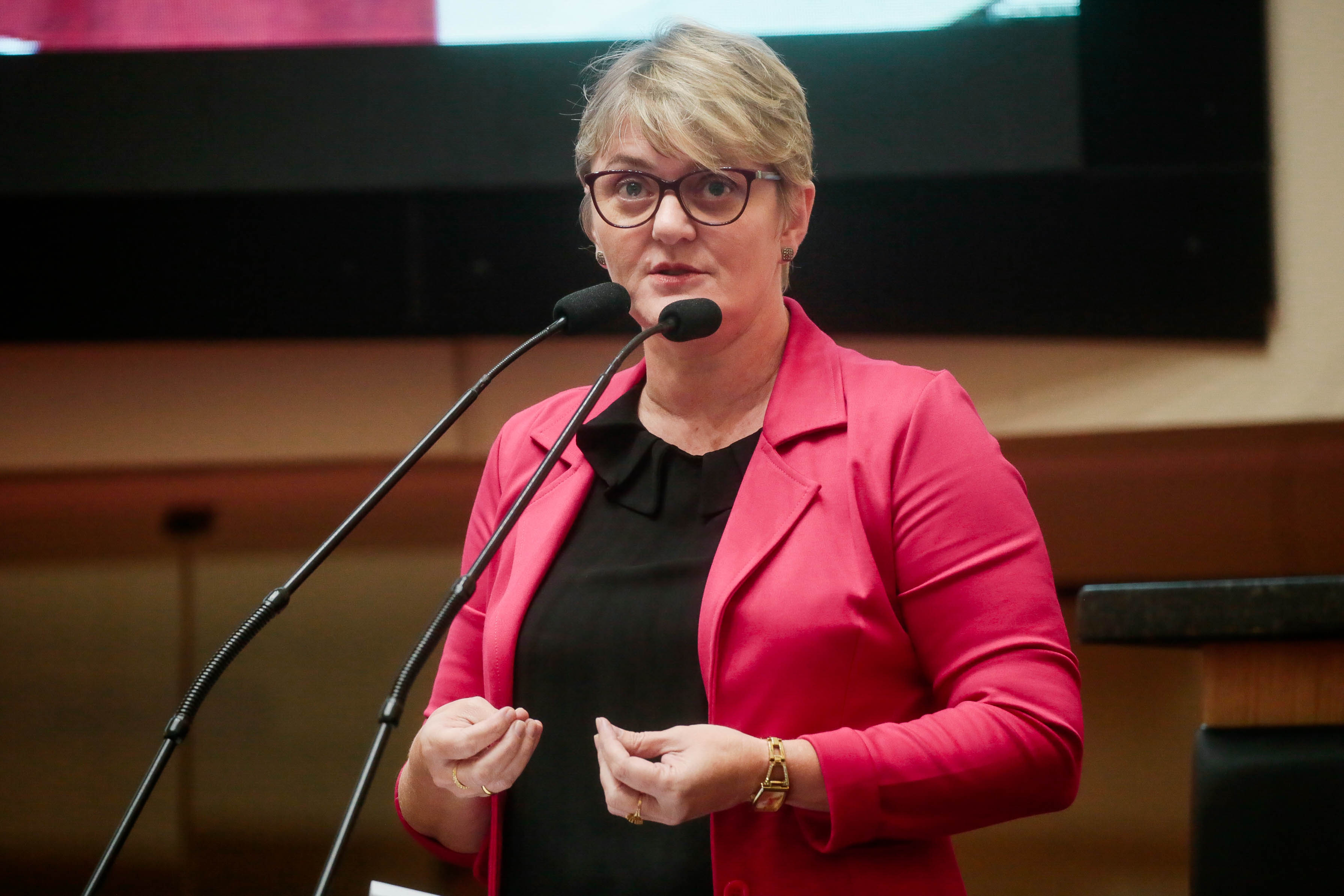 Deputada Luciane Carminatti (PT)