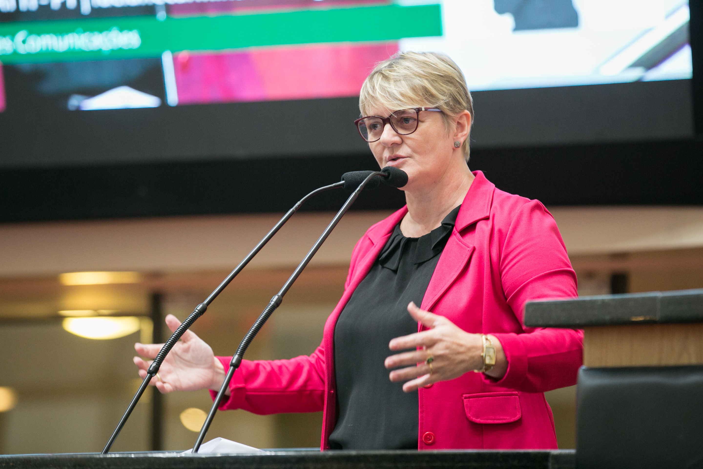 Deputada Luciane Carminatti (PT)