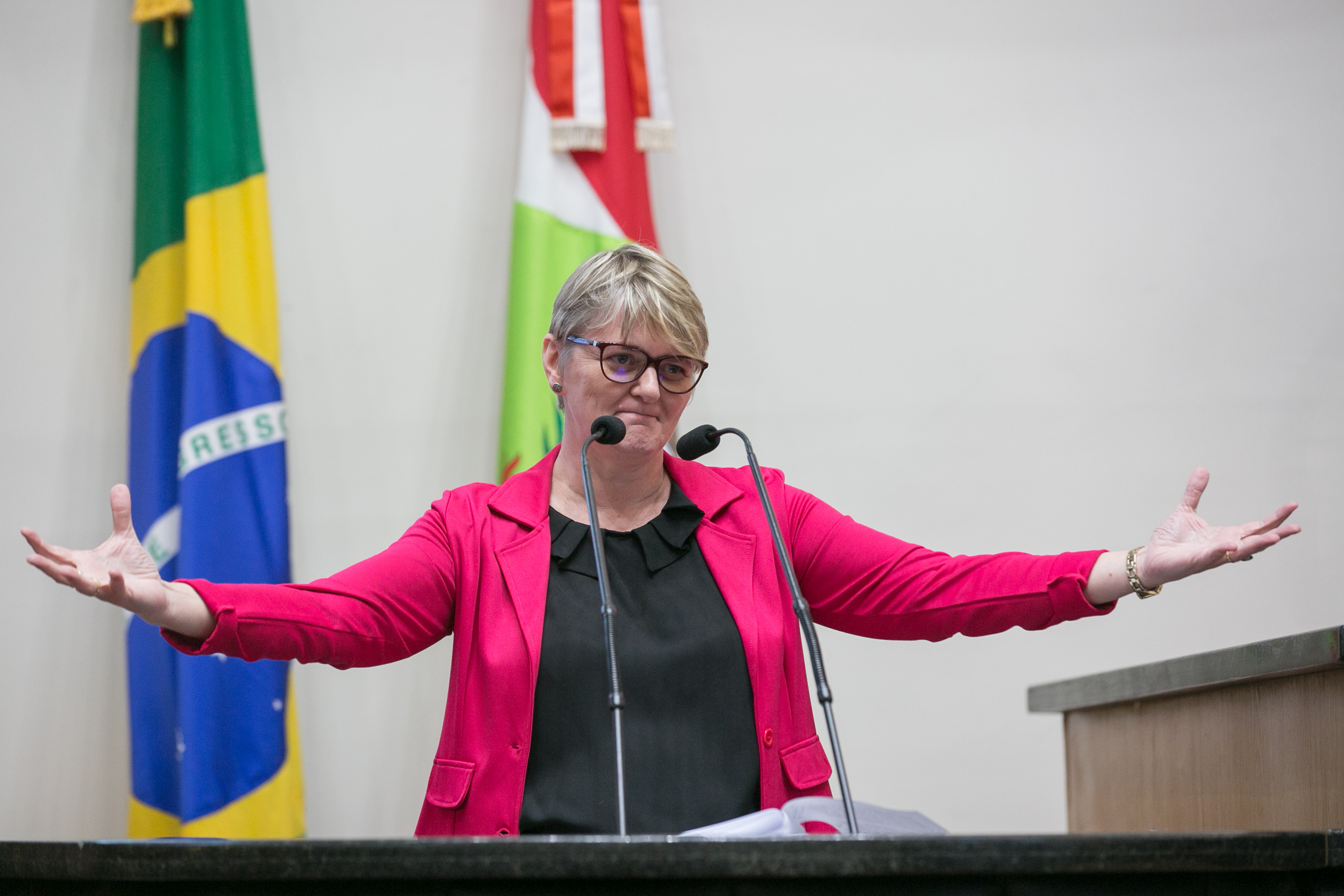 Deputada Luciane Carminatti (PT)