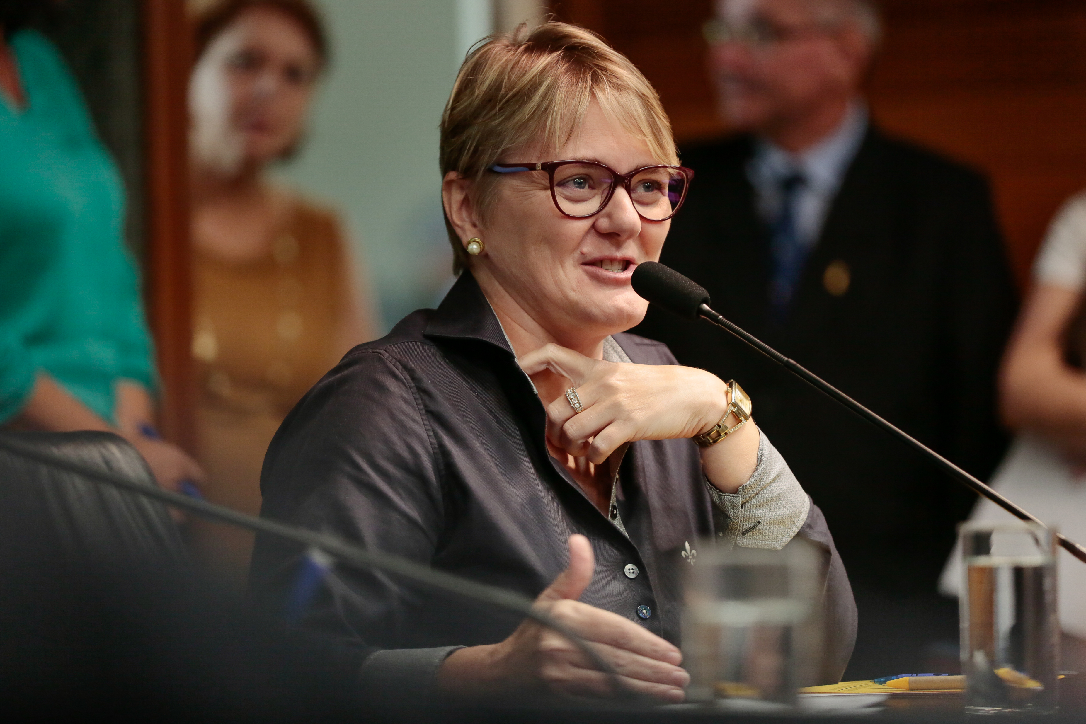 Deputada Luciane Carminatti (PT)