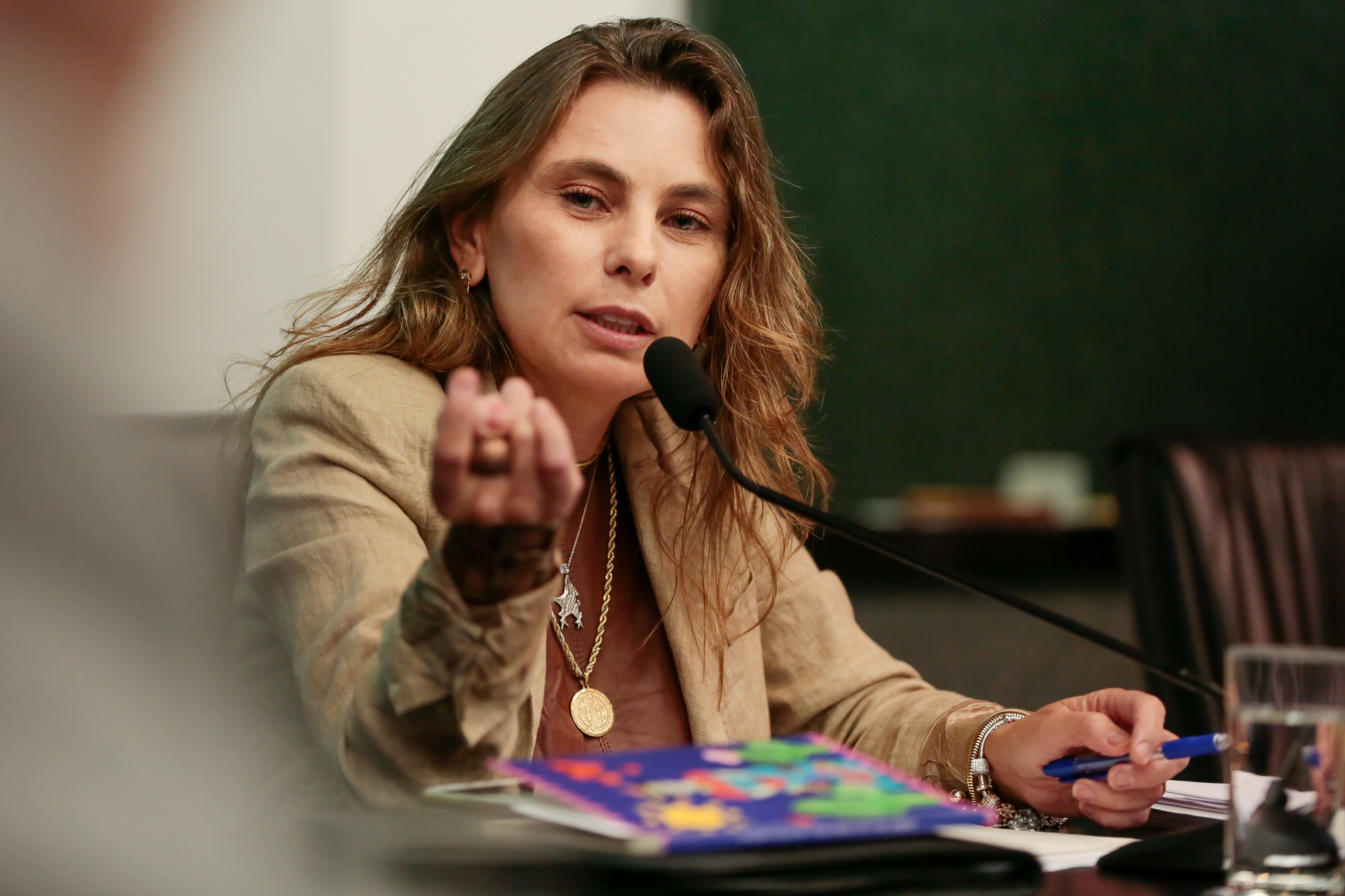 Deputada Paulinha (PDT)