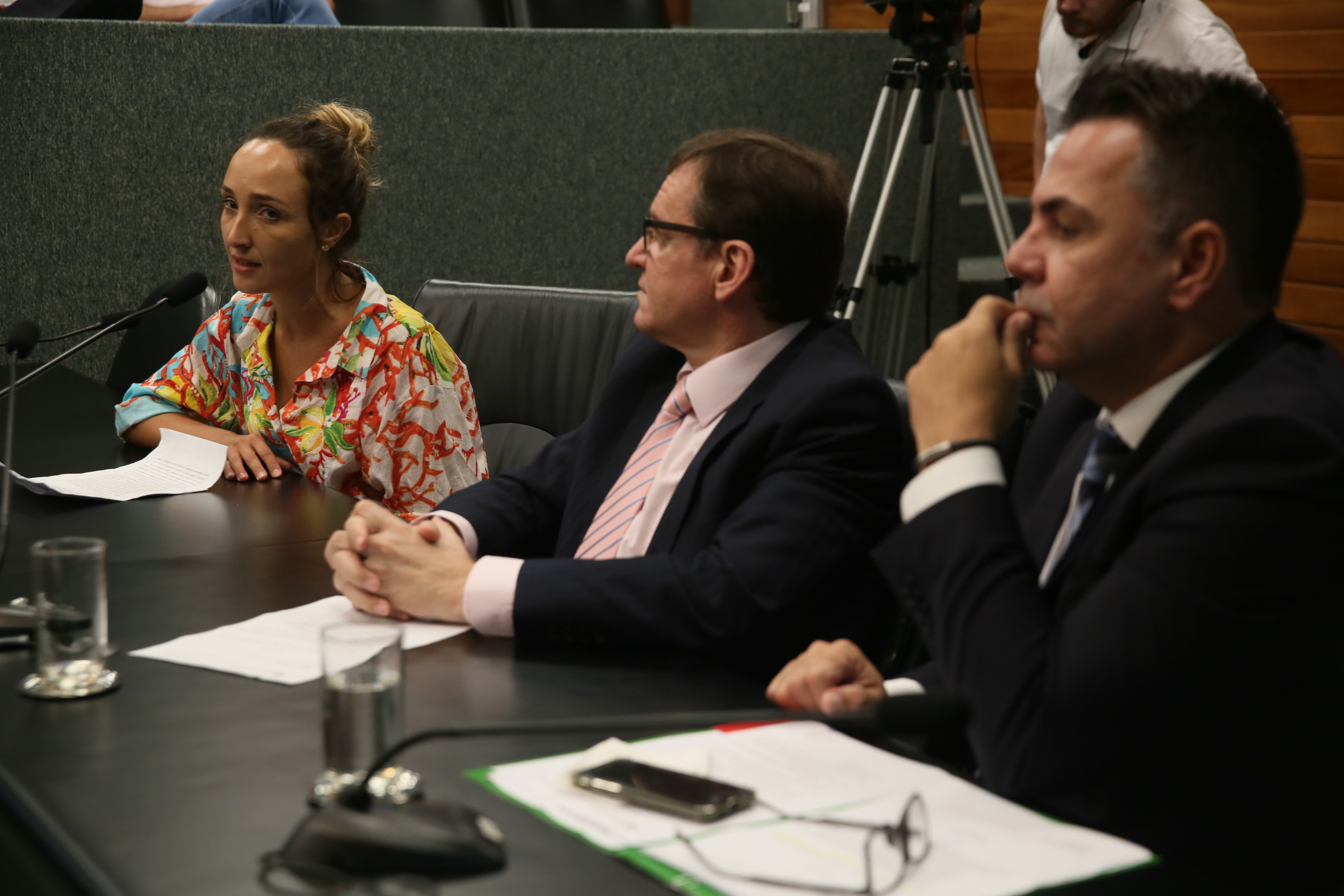 Reunião da Comissão de Turismo e Meio Ambiente.