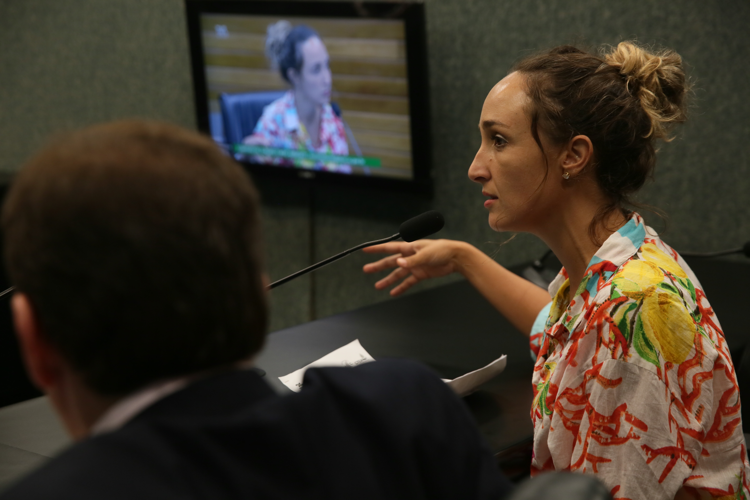 Reunião da Comissão de Turismo e Meio Ambiente.