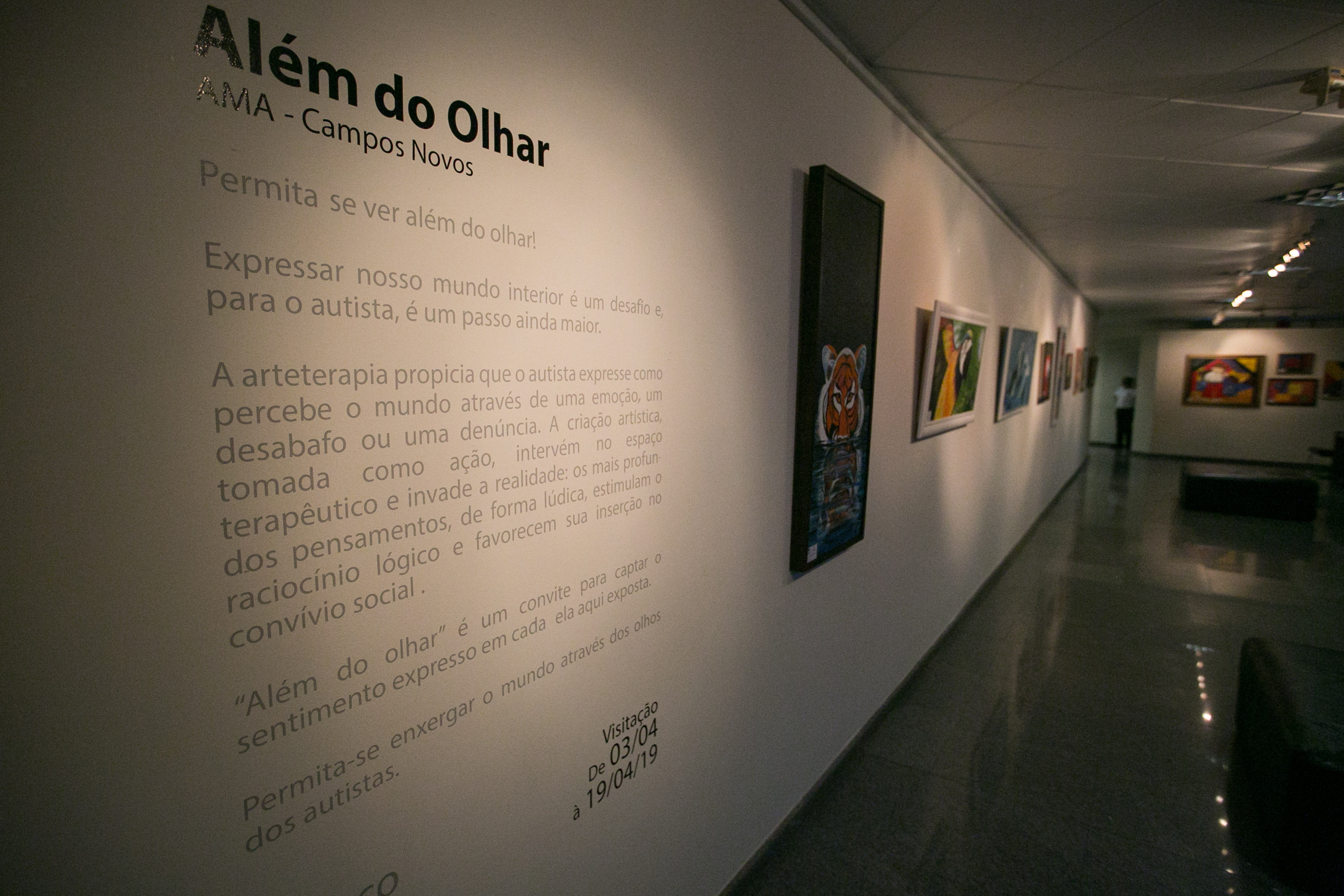 Autismo além do olhar - pinturas de alunos autistas da Associação de Pais e Amigos de Campos Novos