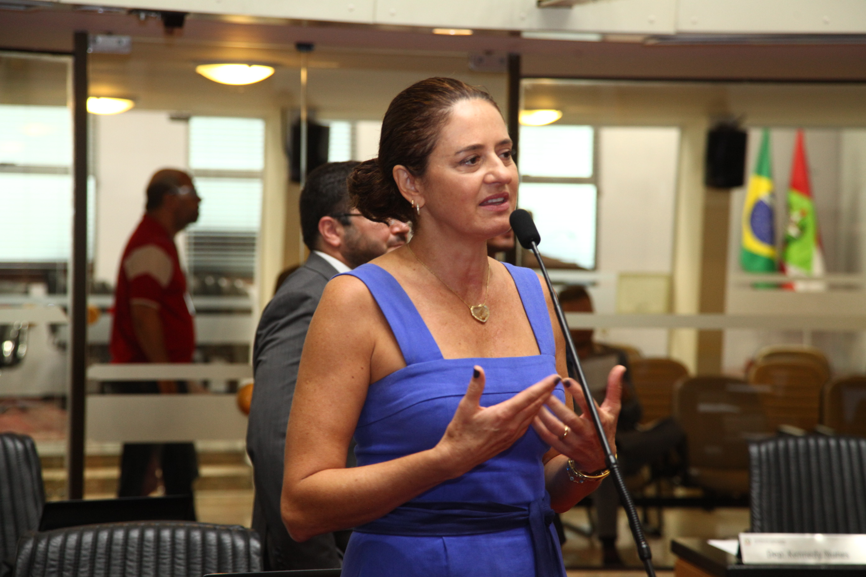 Sessão Ordinária - Deputada Marlene Fengler (PSD)