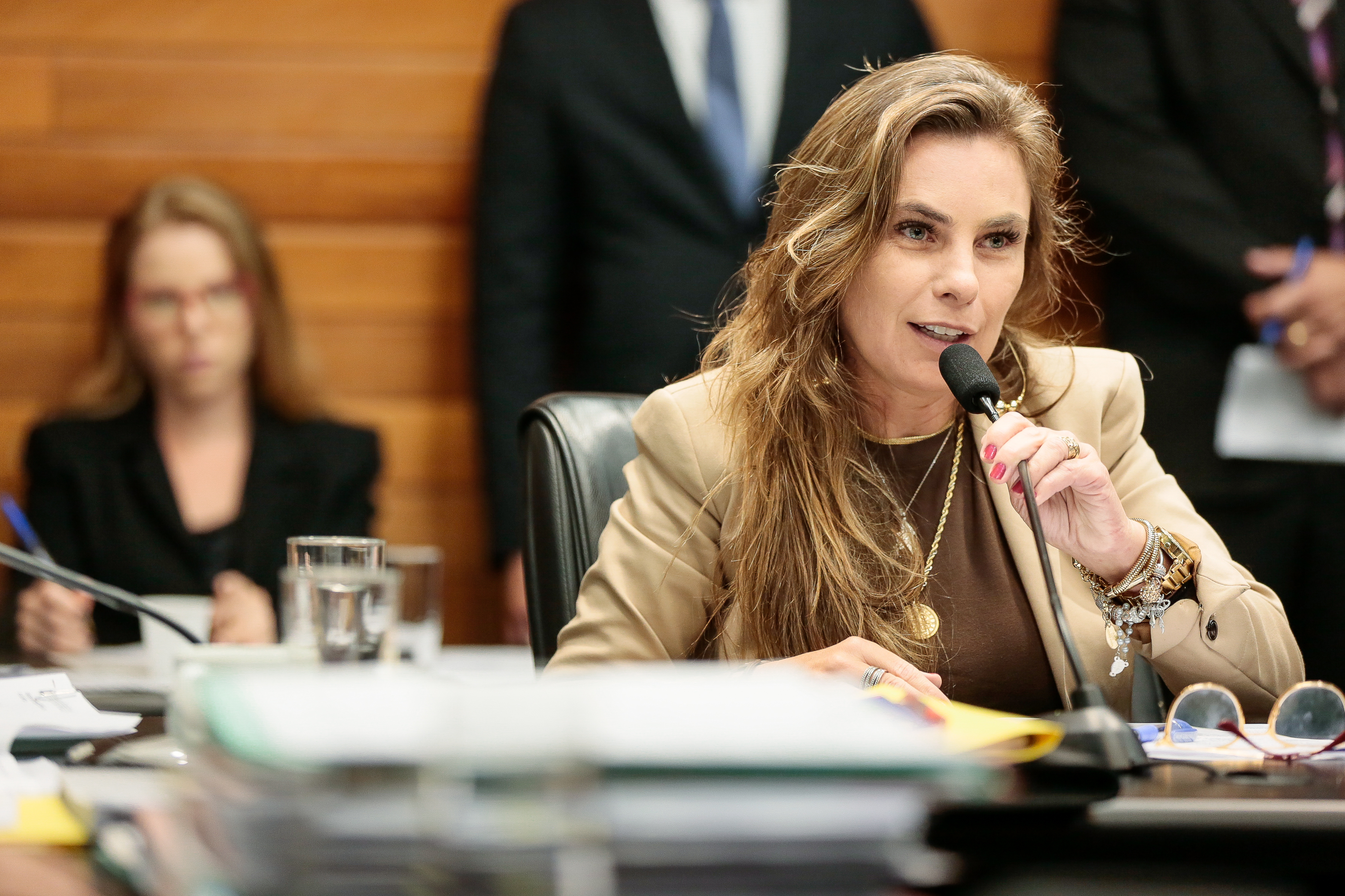 Deputada Paulinha (PDT)