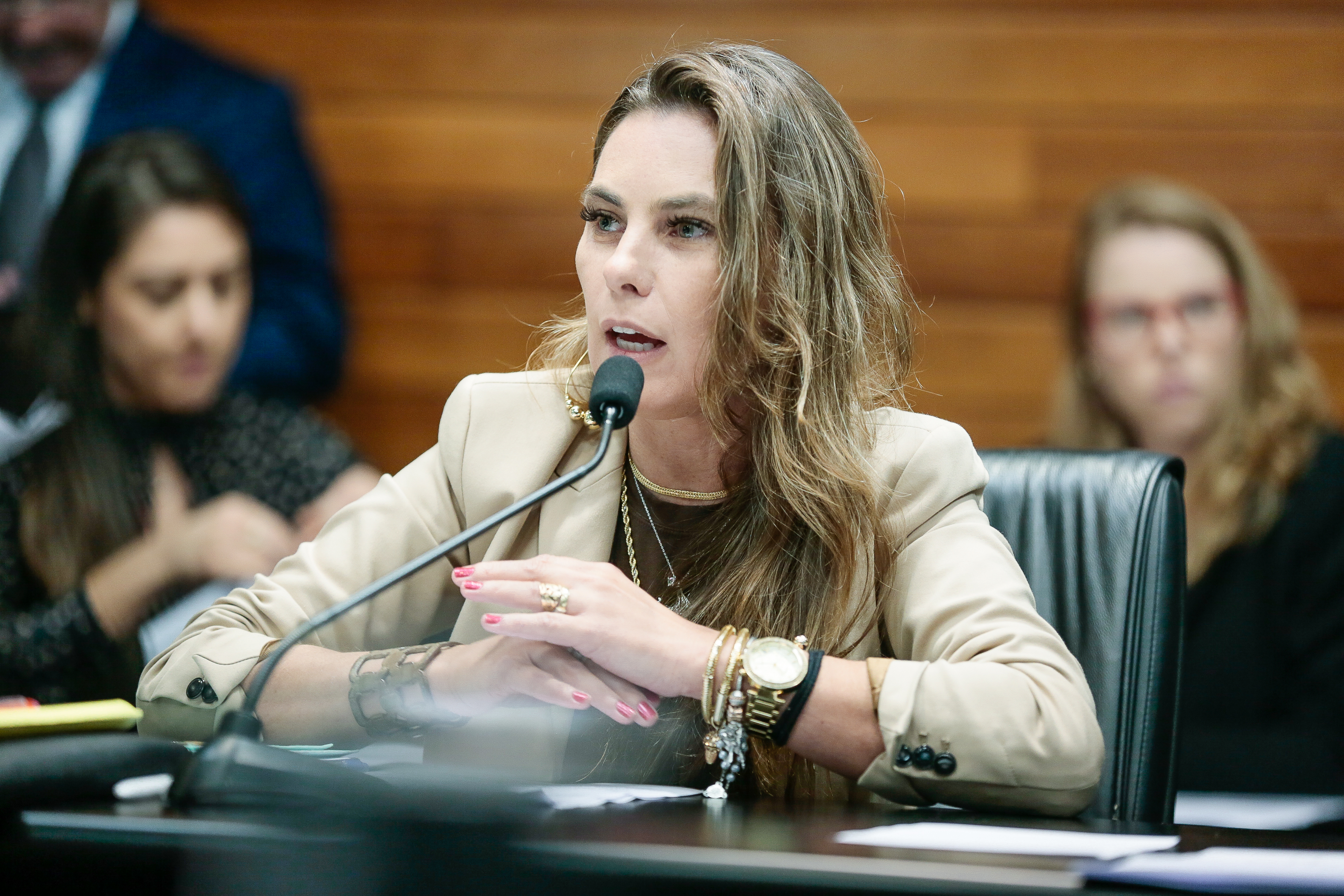 Deputada Paulinha (PDT)
