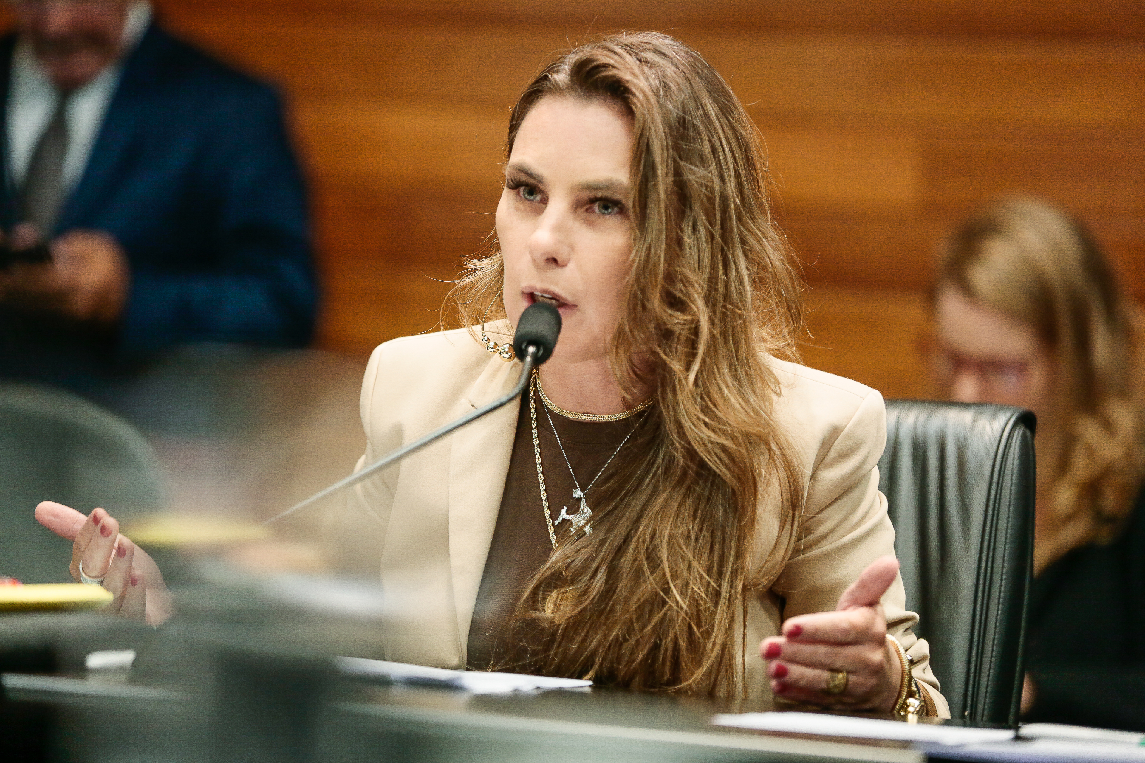 Deputada Paulinha (PDT)