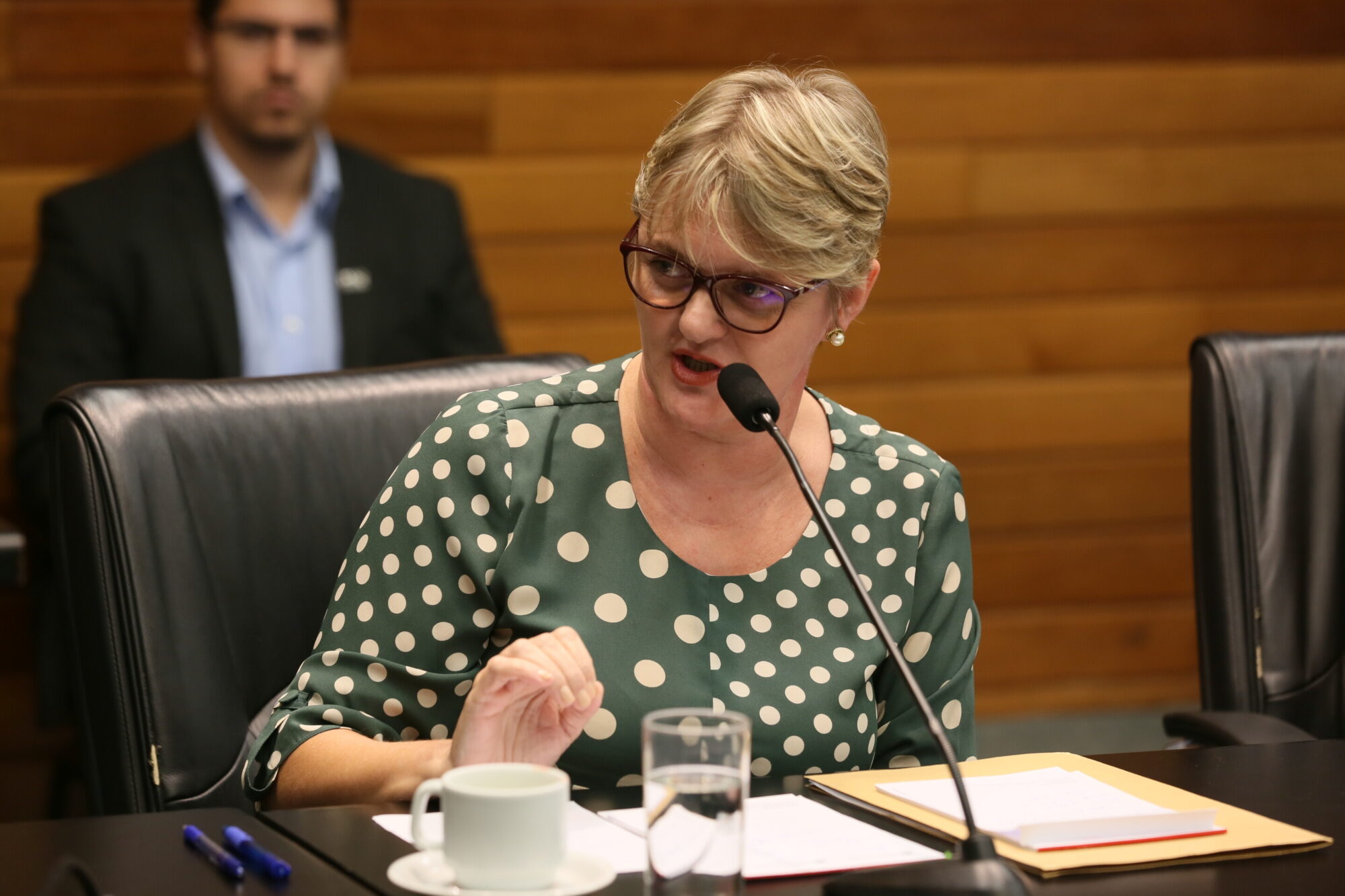 Deputada Luciane Carminatti