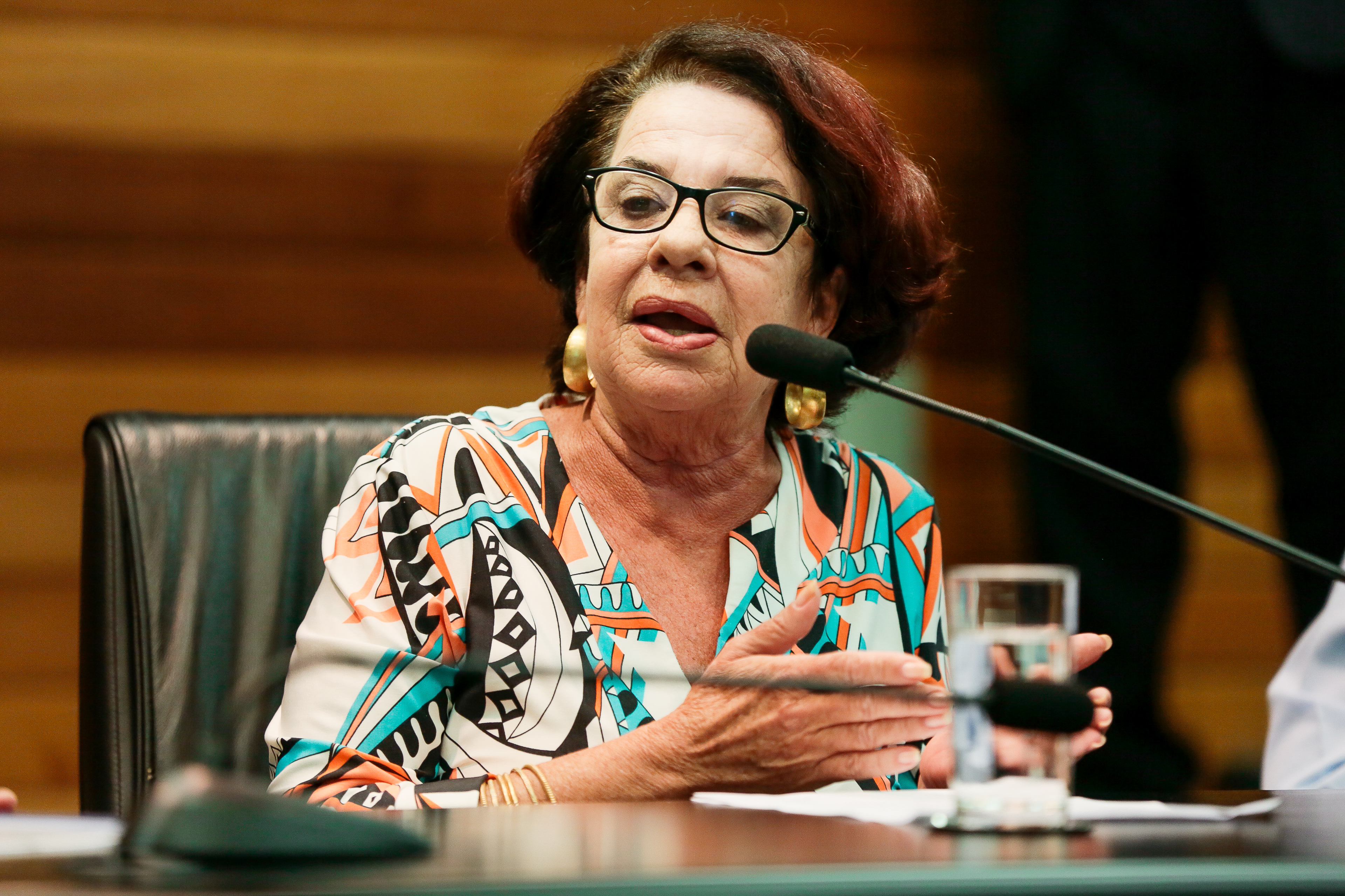 Silvia Regina Cabral, Presidente da Associação Brasileira de Bacharéis e Profissionais de Turismo de SC