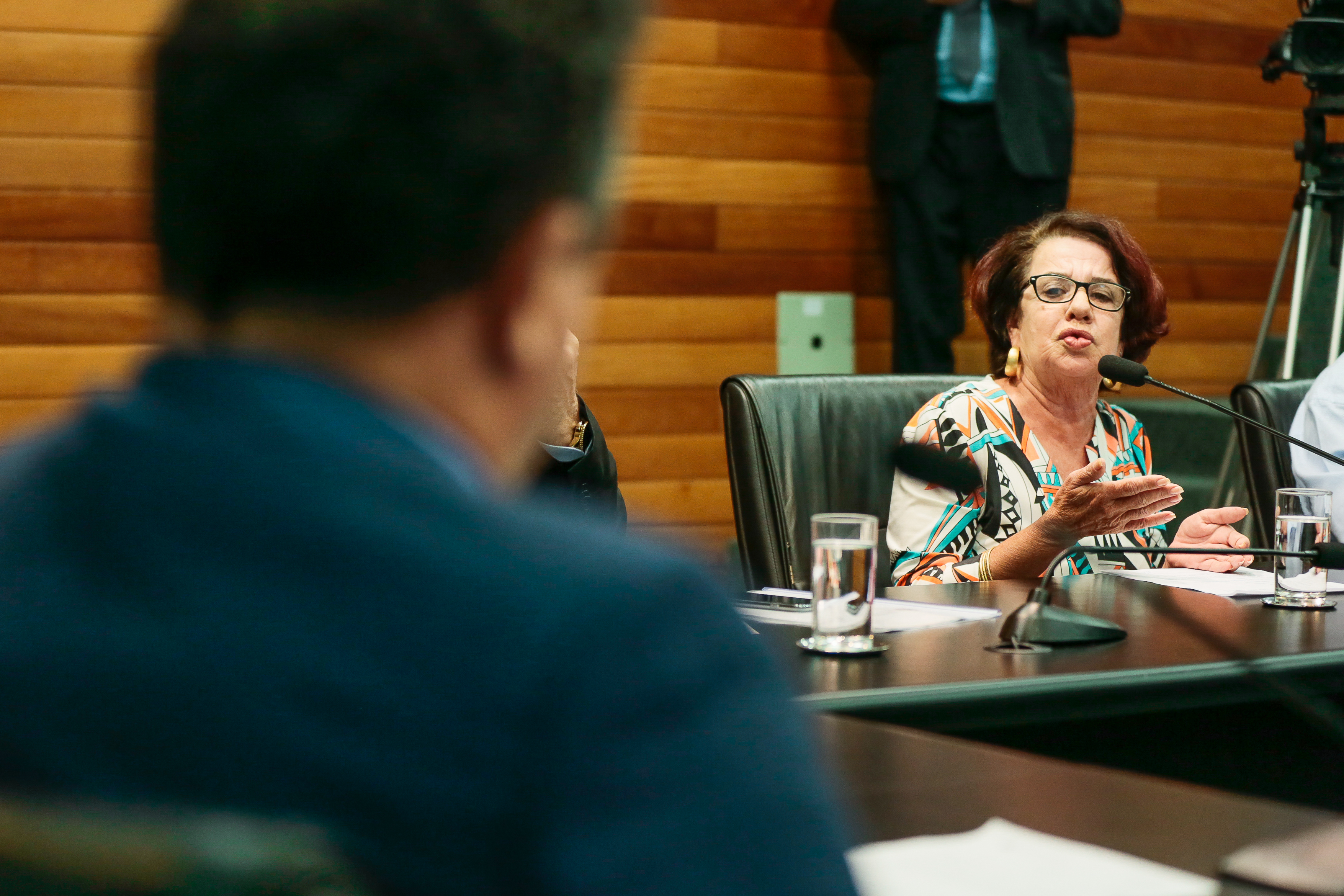 Silvia Regina Cabral, Presidente da Associação Brasileira de Bacharéis e Profissionais de Turismo de SC