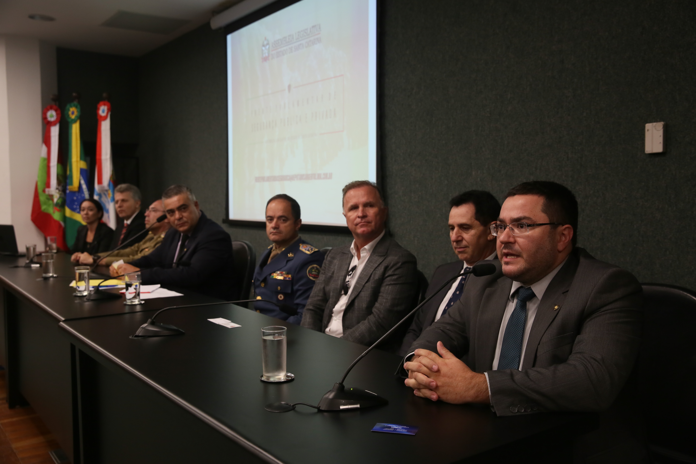 Frente Parlamentar em defesa das seguranças pública e privada.