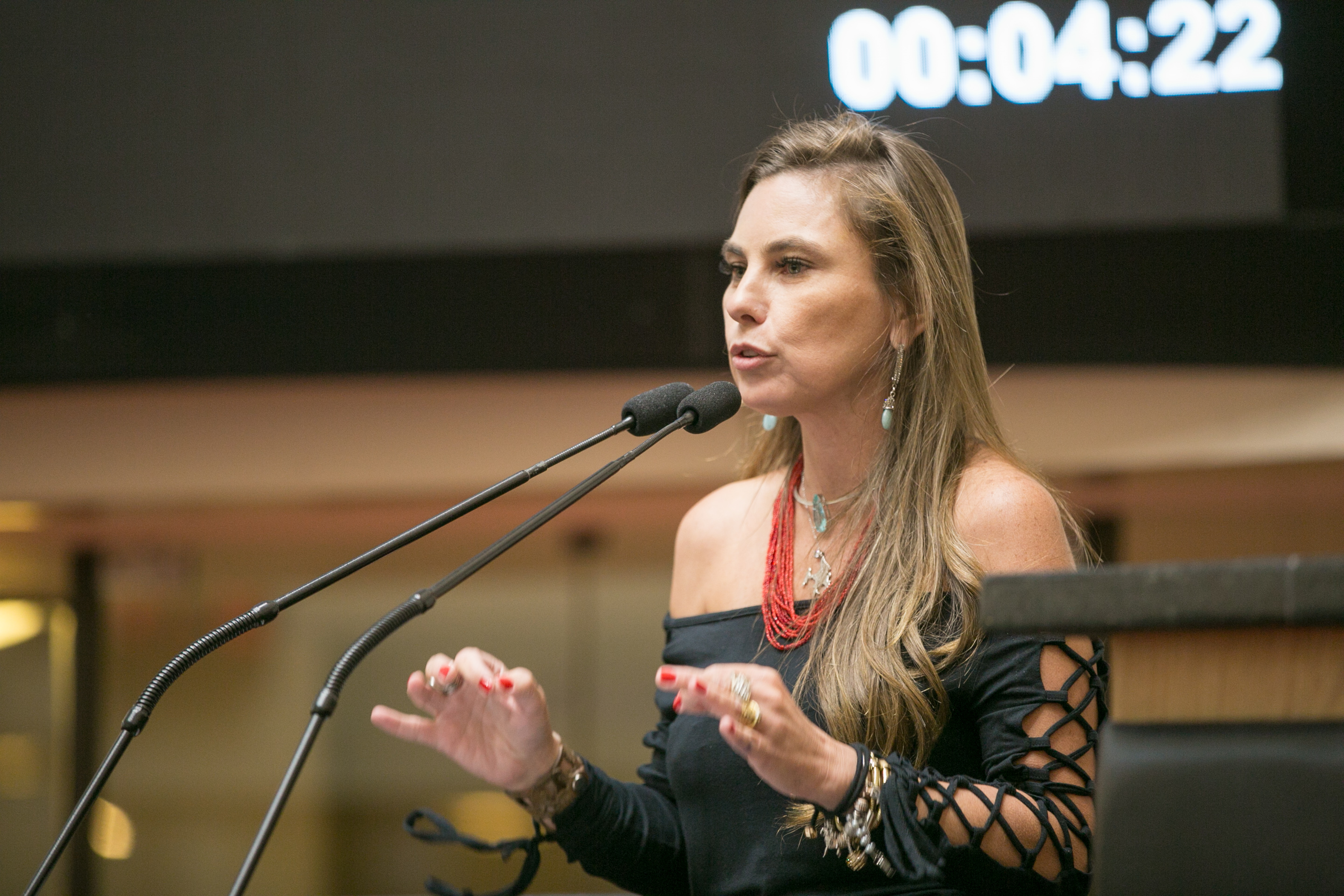 Deputada Paulinha (PDT)