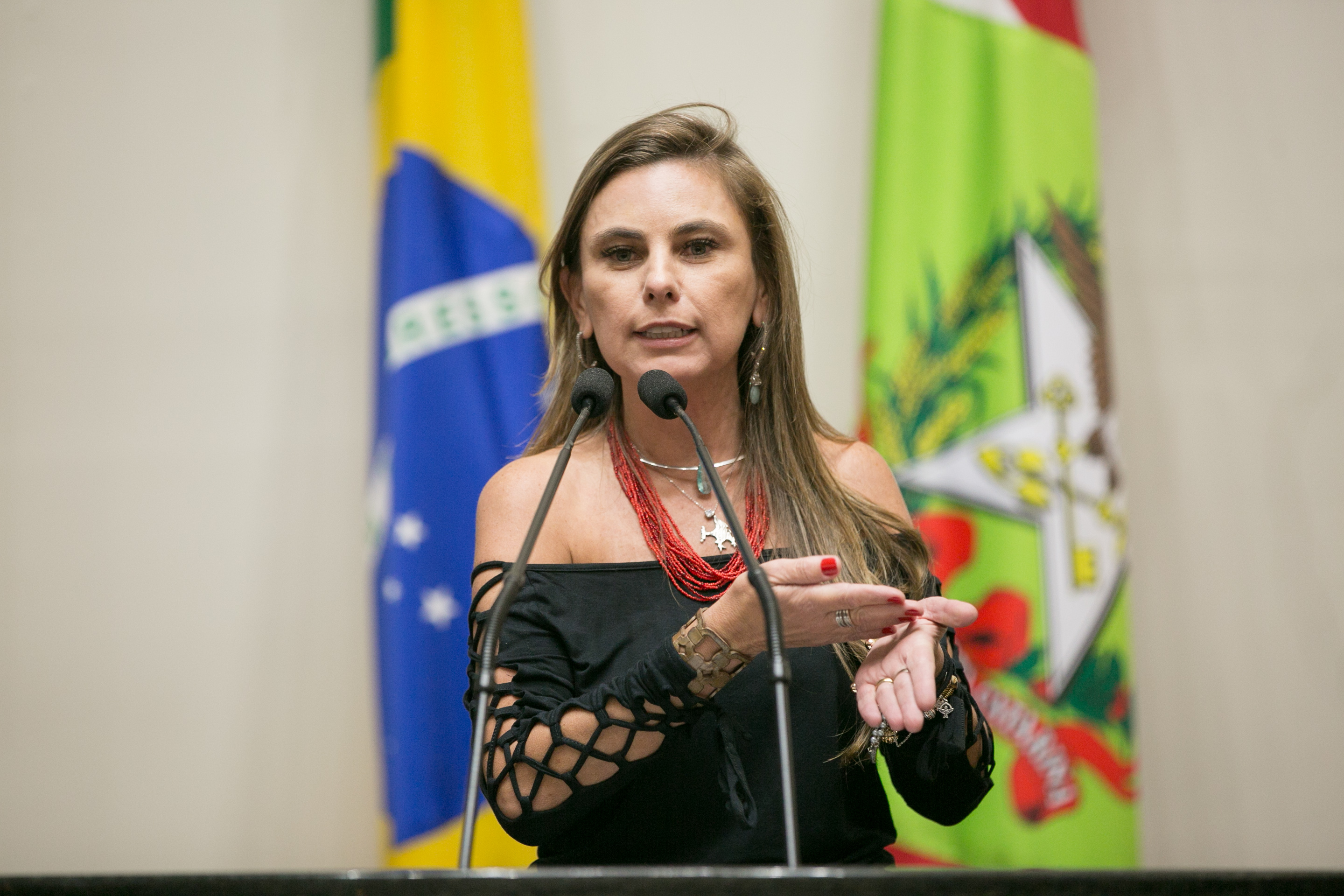 Deputada Paulinha (PDT)