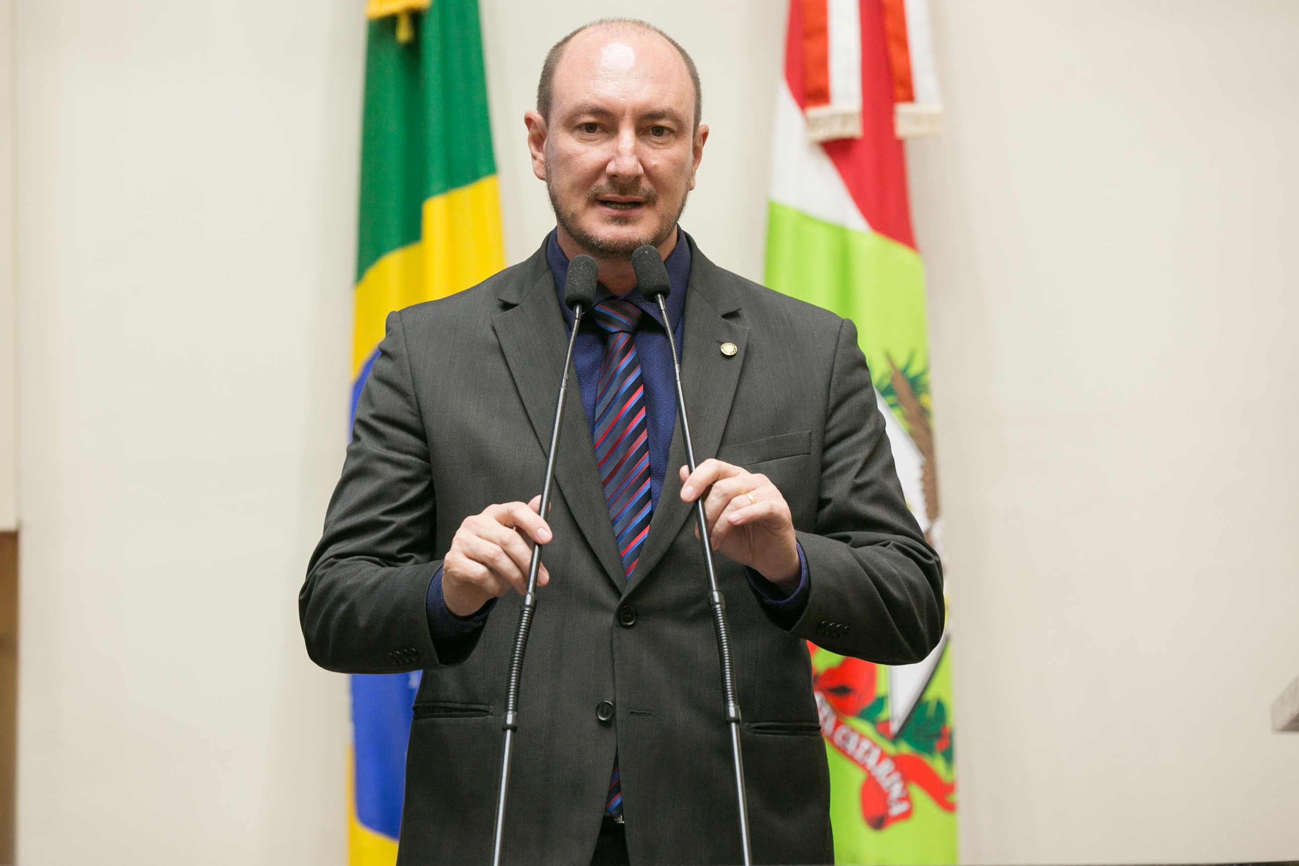 Deputado Mauro de Nadal (MDB)