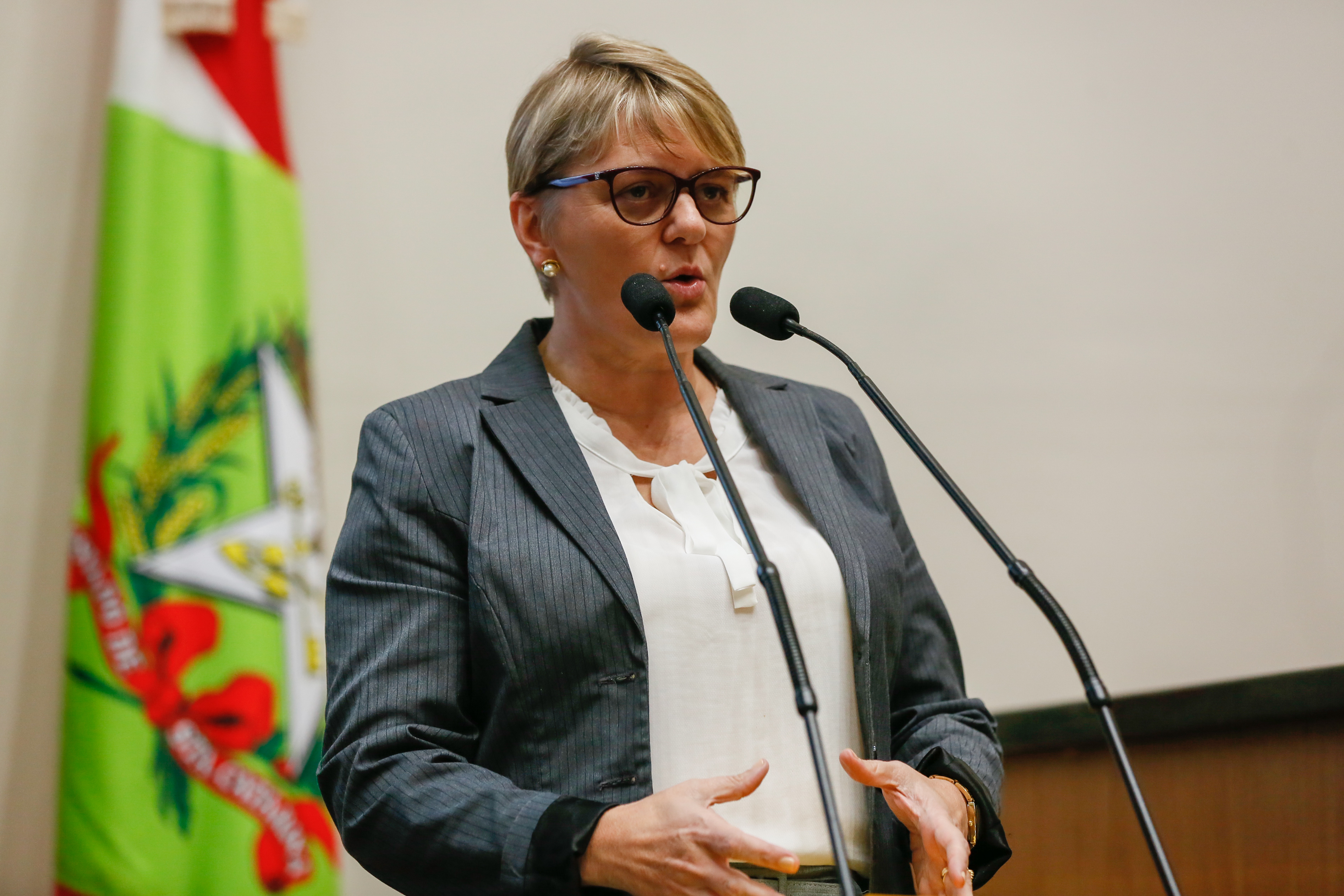 Deputada Luciane Carminatti (PT)