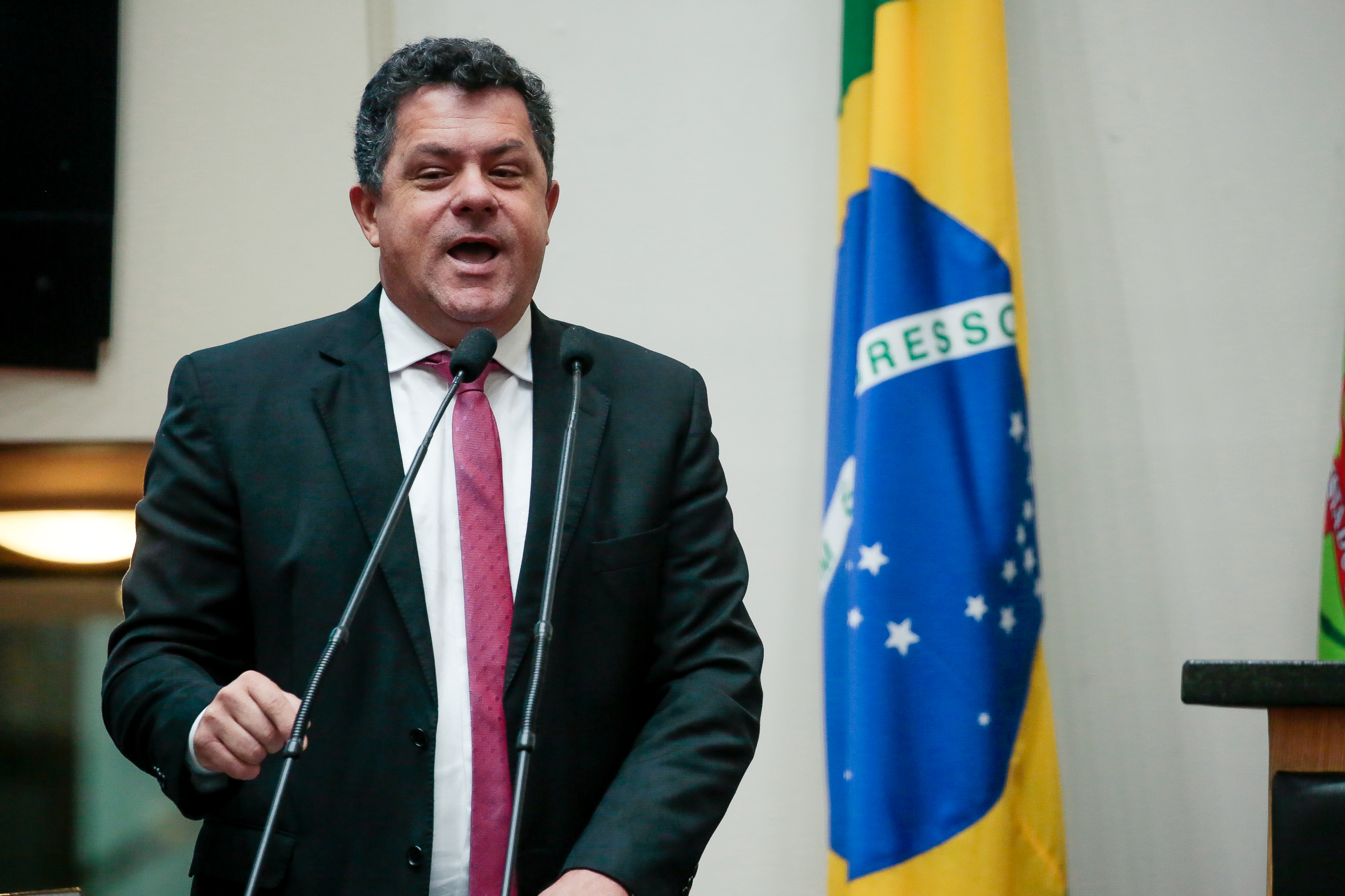Deputado Ivan Naatz (PV)