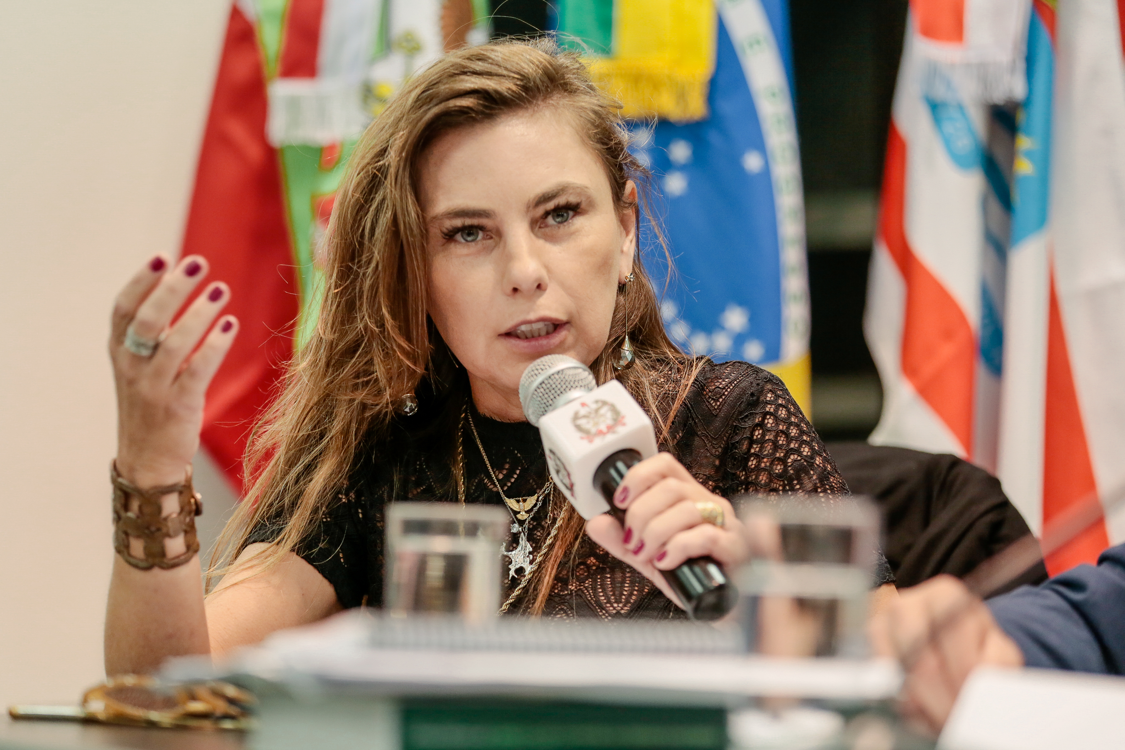 Deputada Paulinha (PDT)