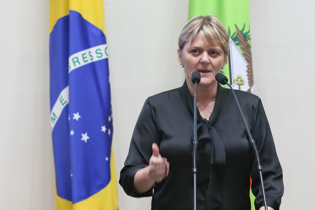Deputada Luciane Carminatti (PT).