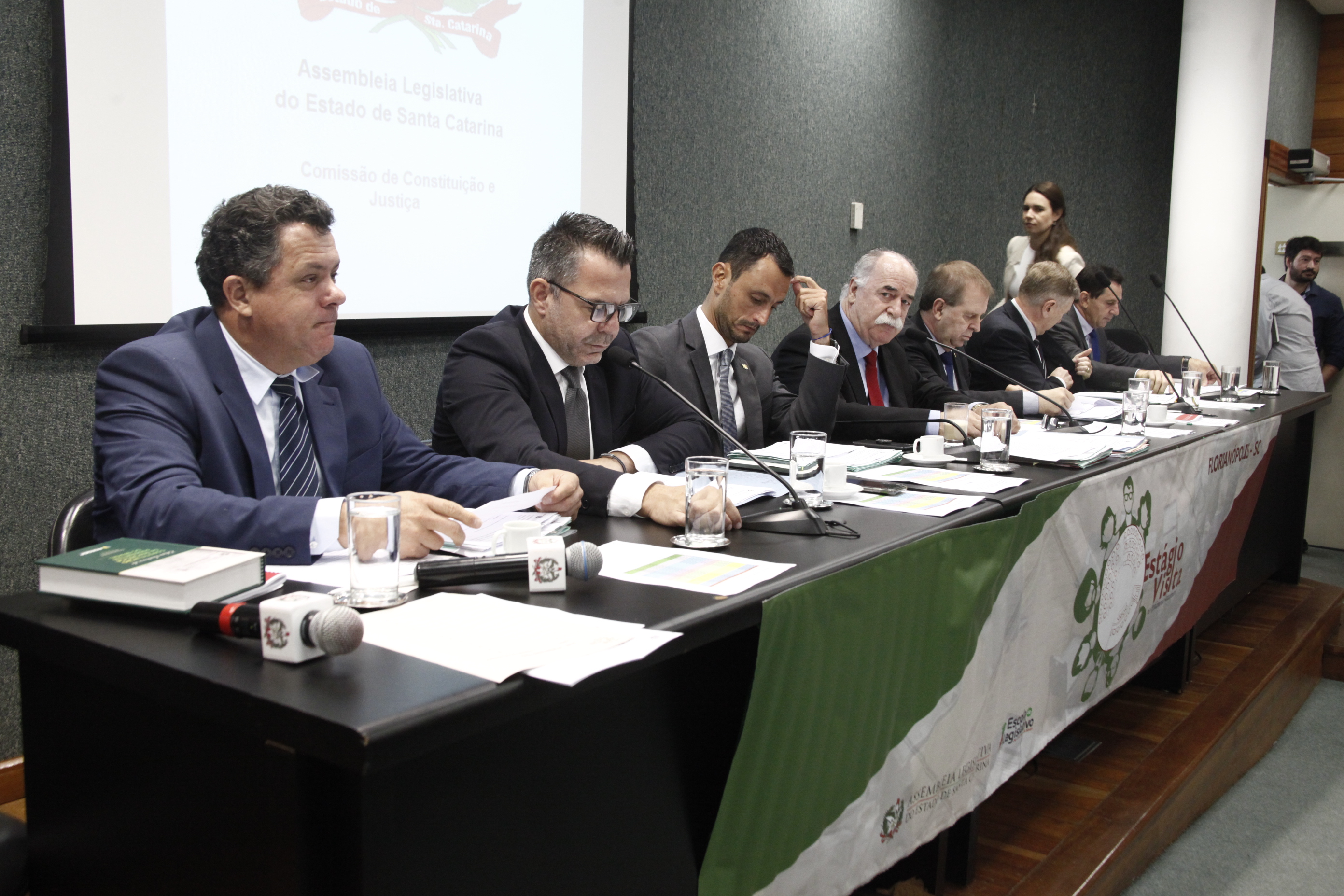 Comissão de Constituição e Justiça